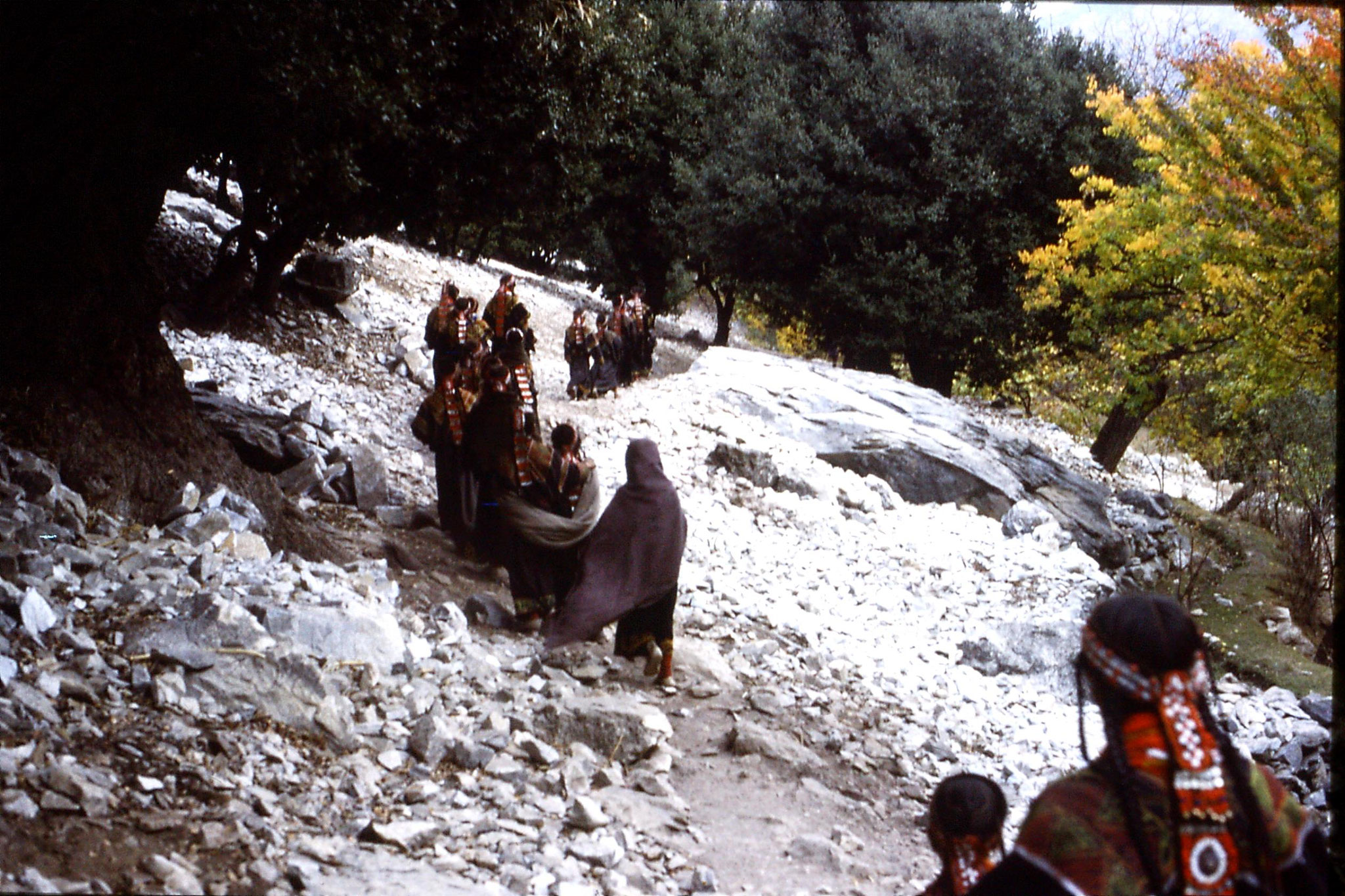 1/11/1989: 4: Kalash Valley, after bridal procession