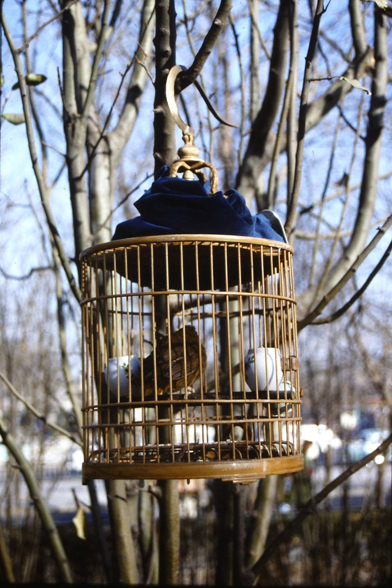 5/12/1988: 19: bird cages near China Photo