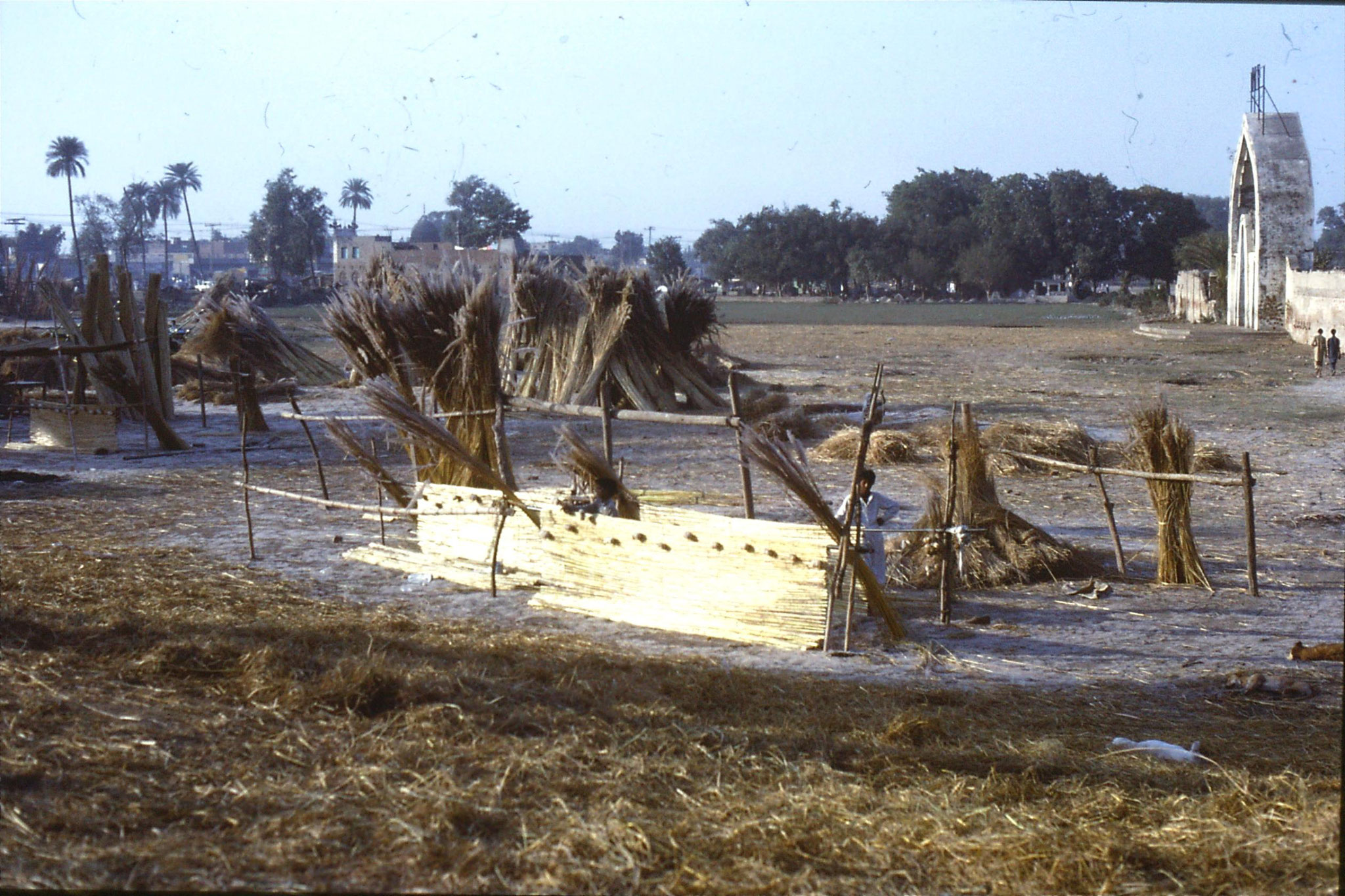 10/11/1989: 3: Lahore, boy making mats