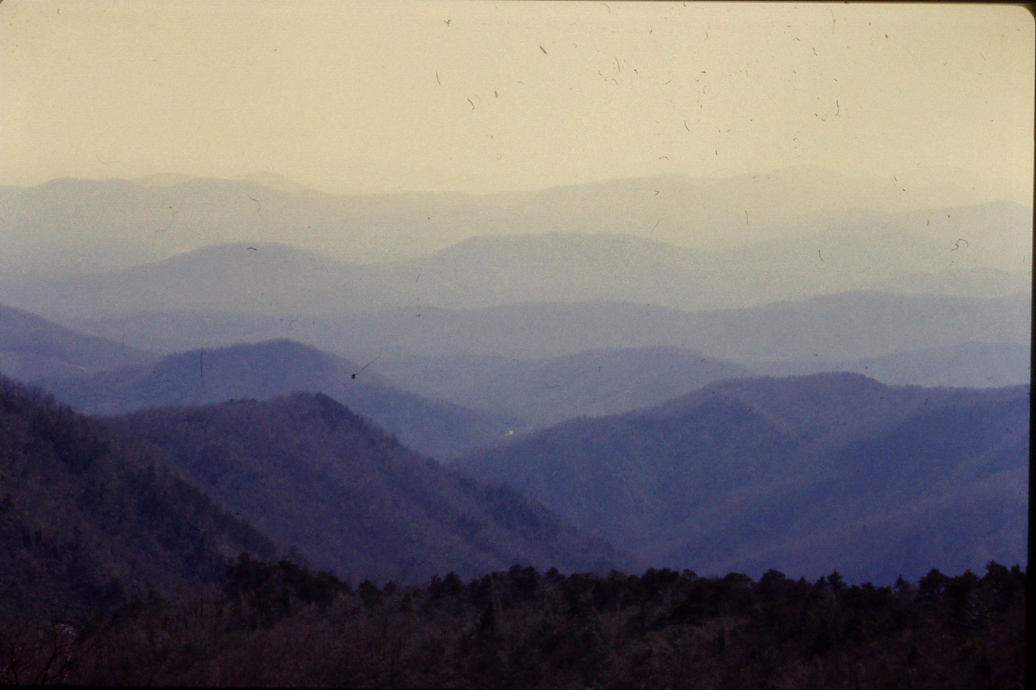 16/3/1991: 21: from 350m looking south