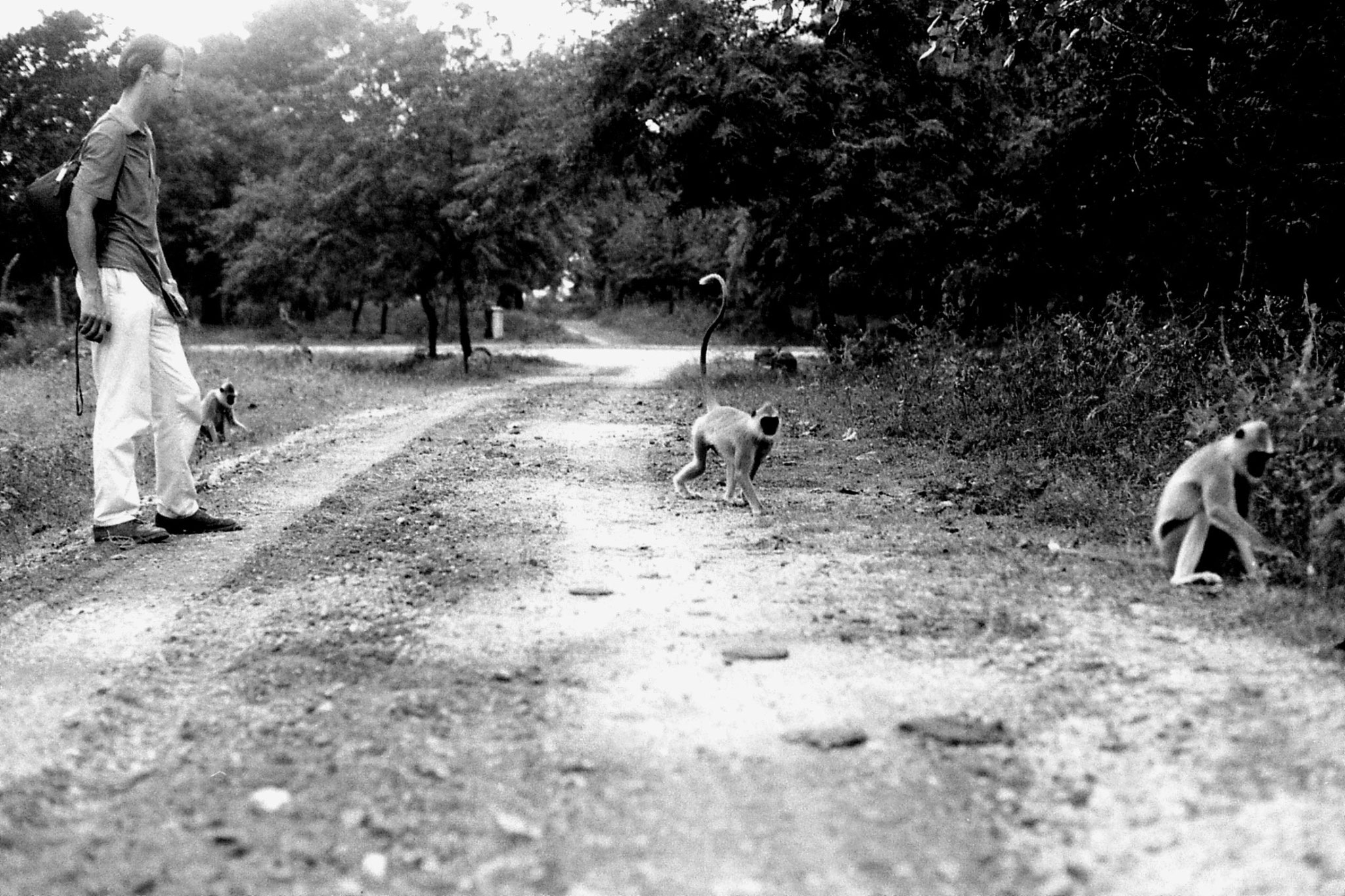 7/2/90: 15: Polonnaruwa