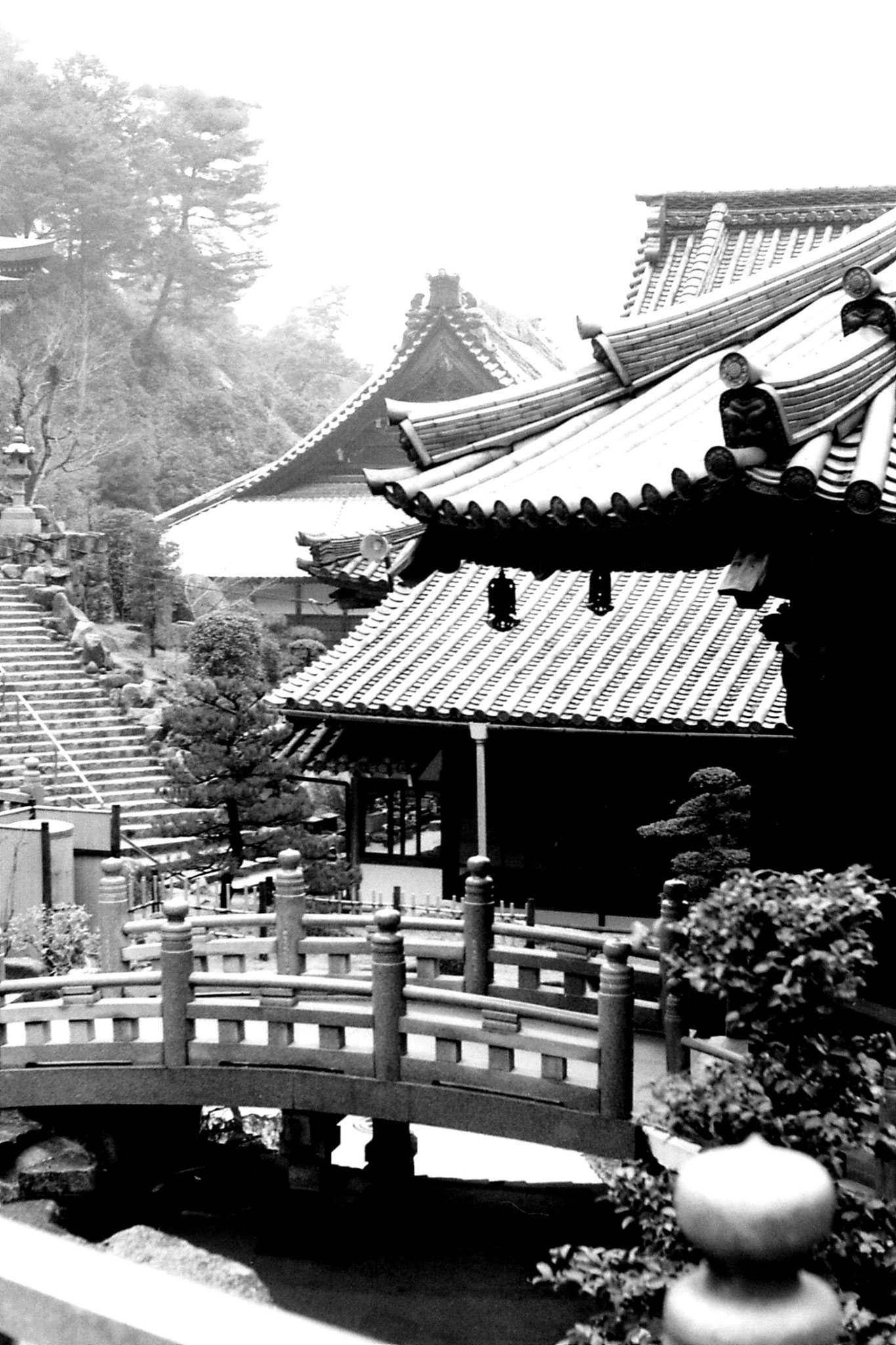 23/1/1989: 3: Miyajima: Dashoin Temple