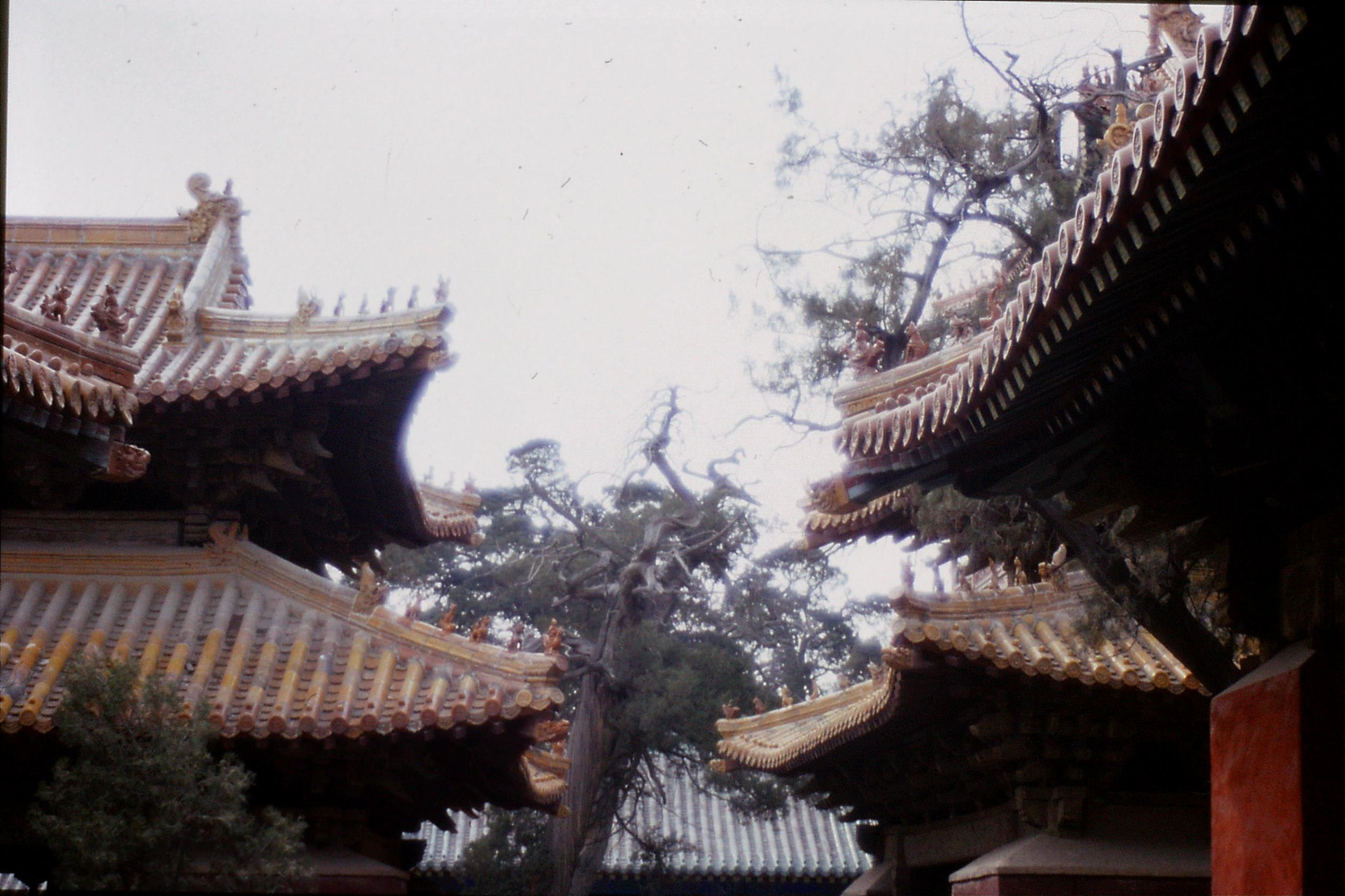 21/2/1989: 0: Qufu temple