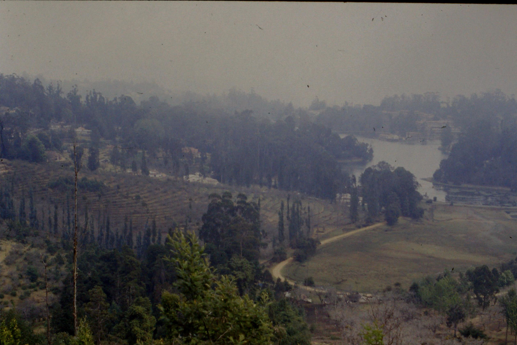 104/22: 19/2/1990 Kodai lake