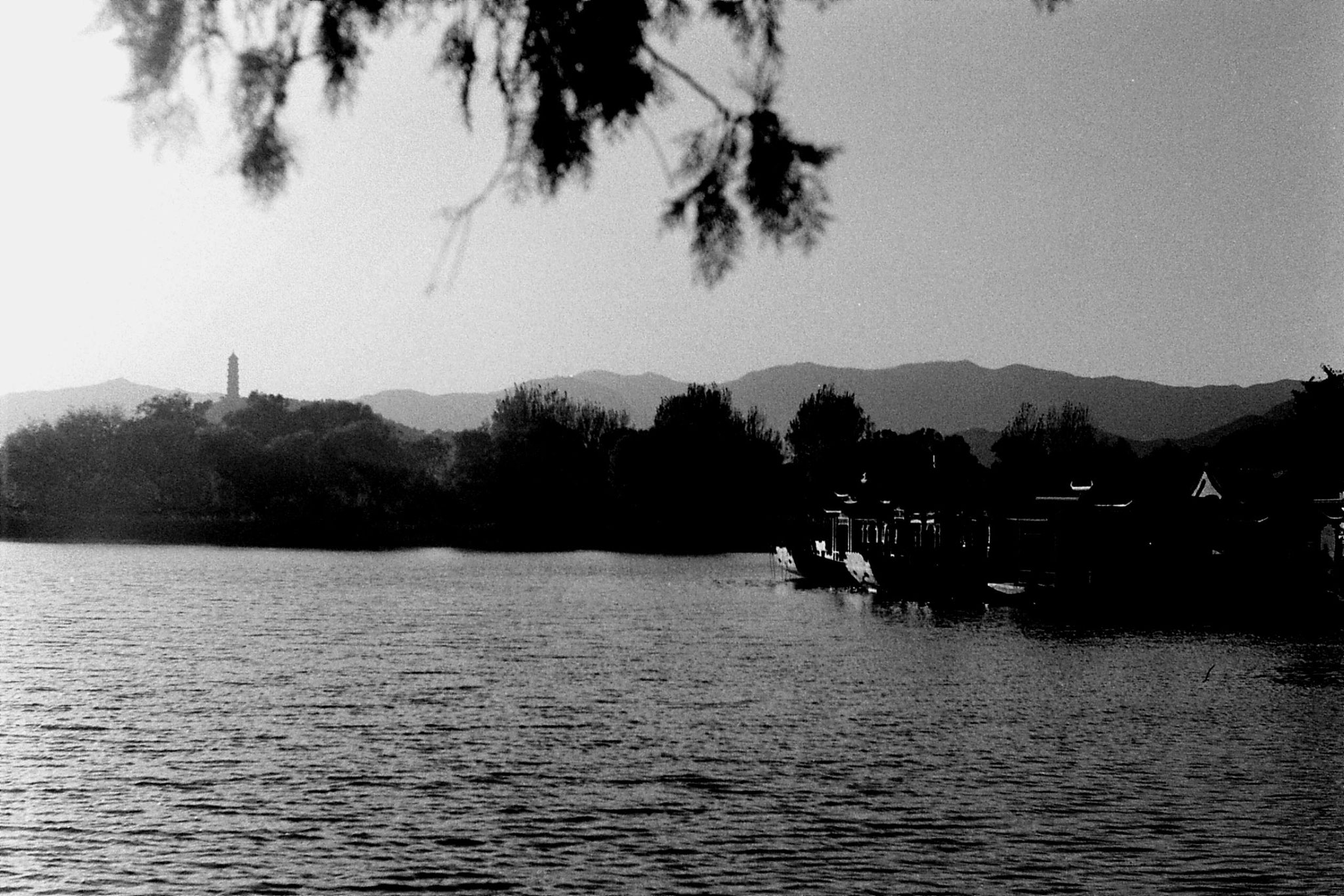 1/11/1988: 16: Summer Palace