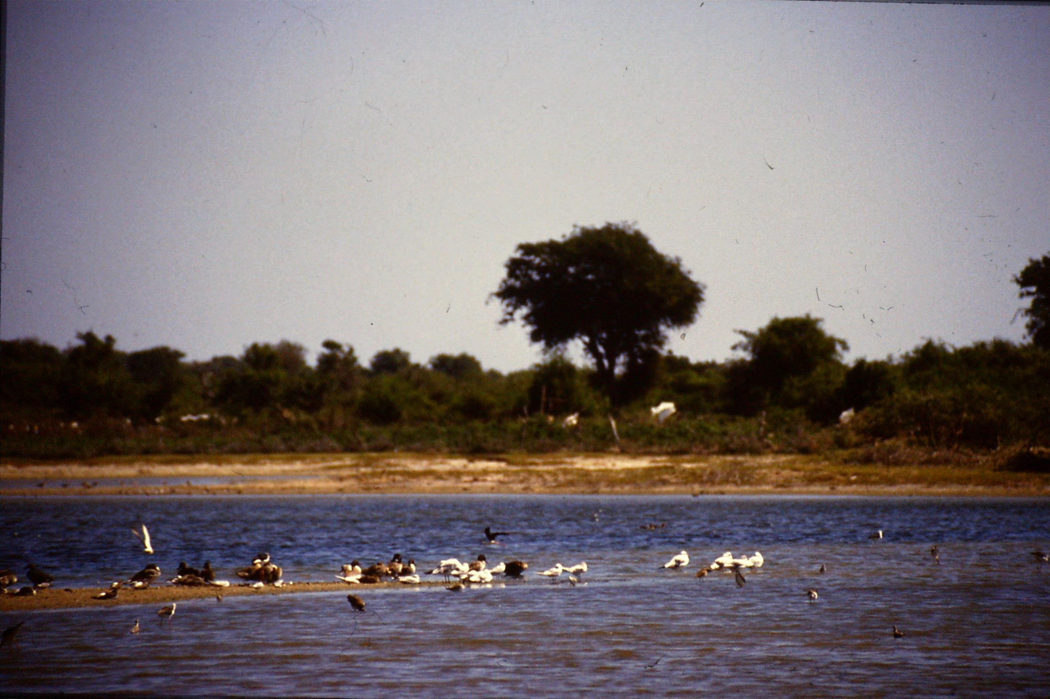 26/1/1990: 36: Kirinda lagoon