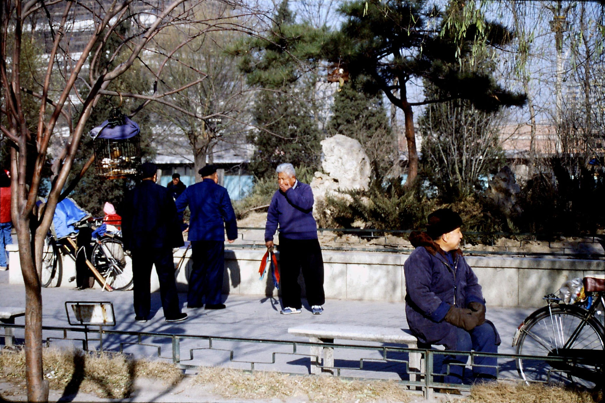 5/12/1988: 14: bird cages near China Photo