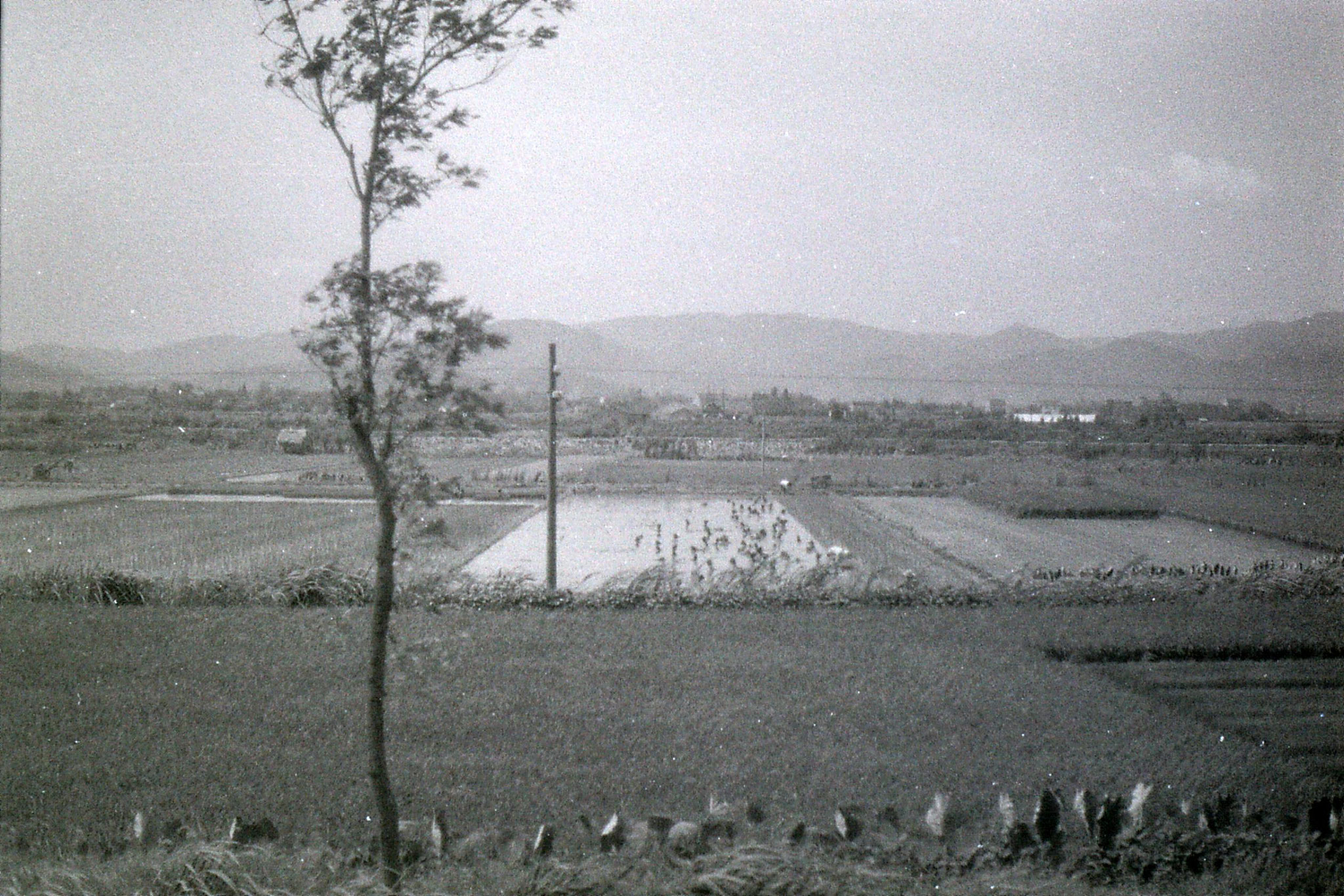 23/7/1989: 22: fields from train to Ningbo