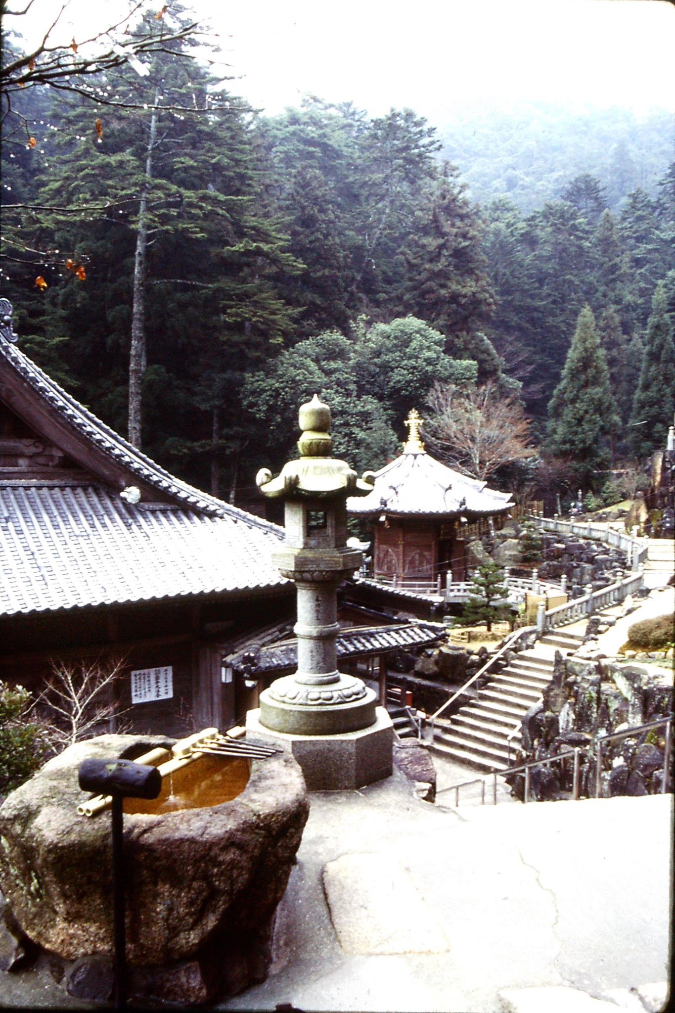 23/1/1989: 21: Miyajima