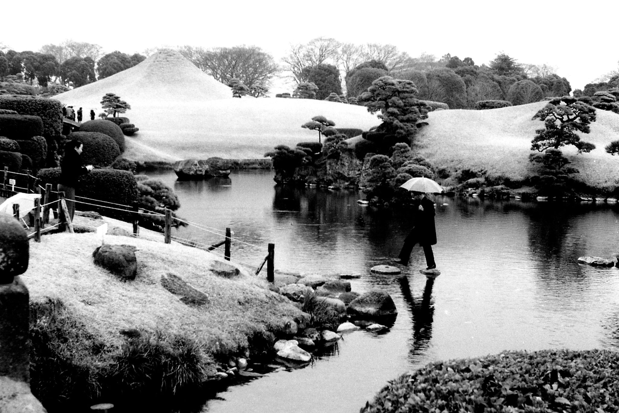 22/1/1989: 18: garden at Kumamoto