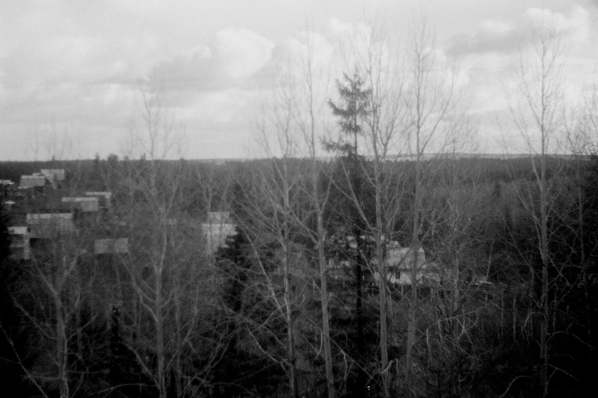 19/10/1988: 19: from Siberian Express between Balezino and Perm