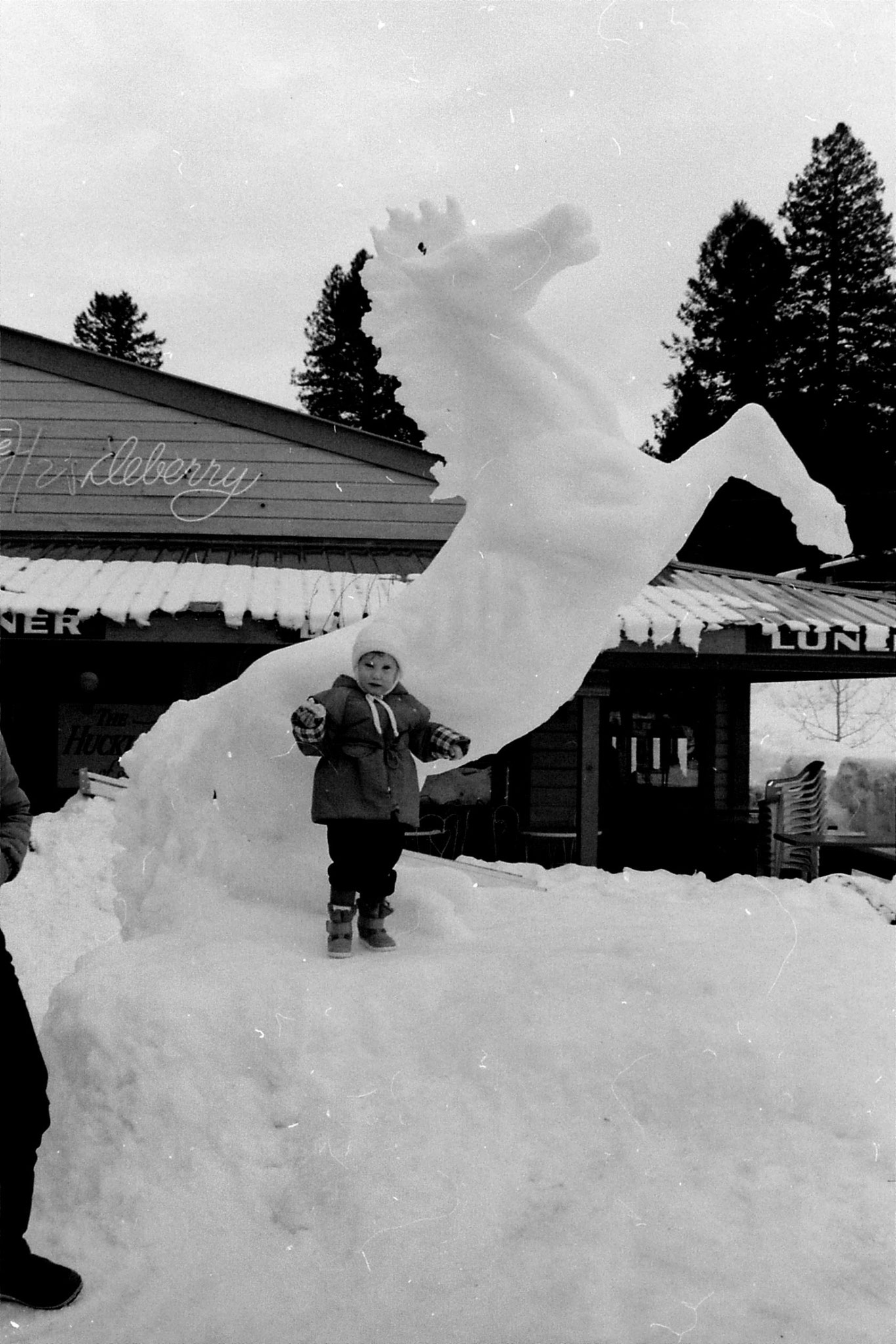 2/2/1991: 22: McCall Ice Festival