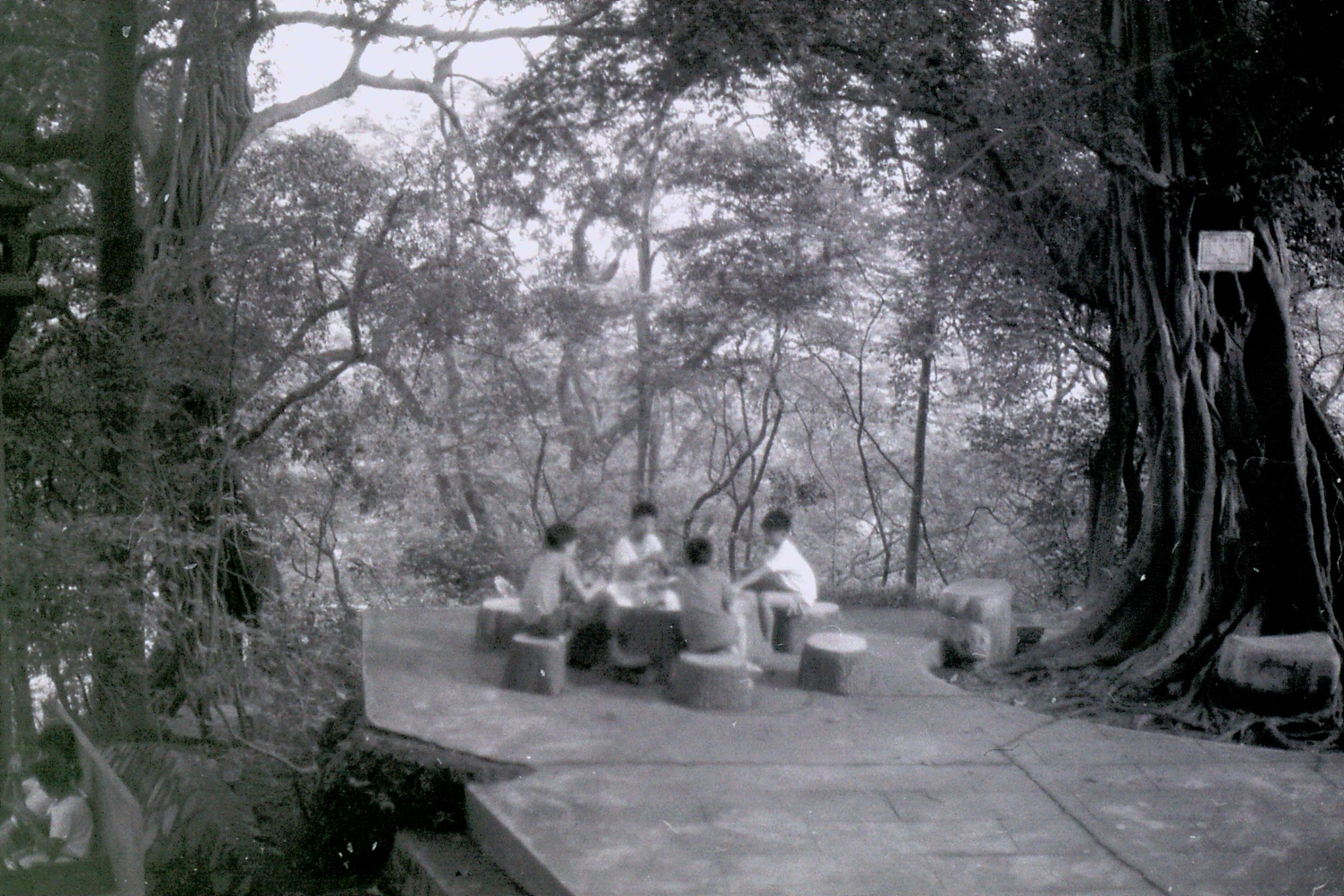 19/5/1989: 35: Guangzhou boys playing cards below Sun Yat Sen memorial