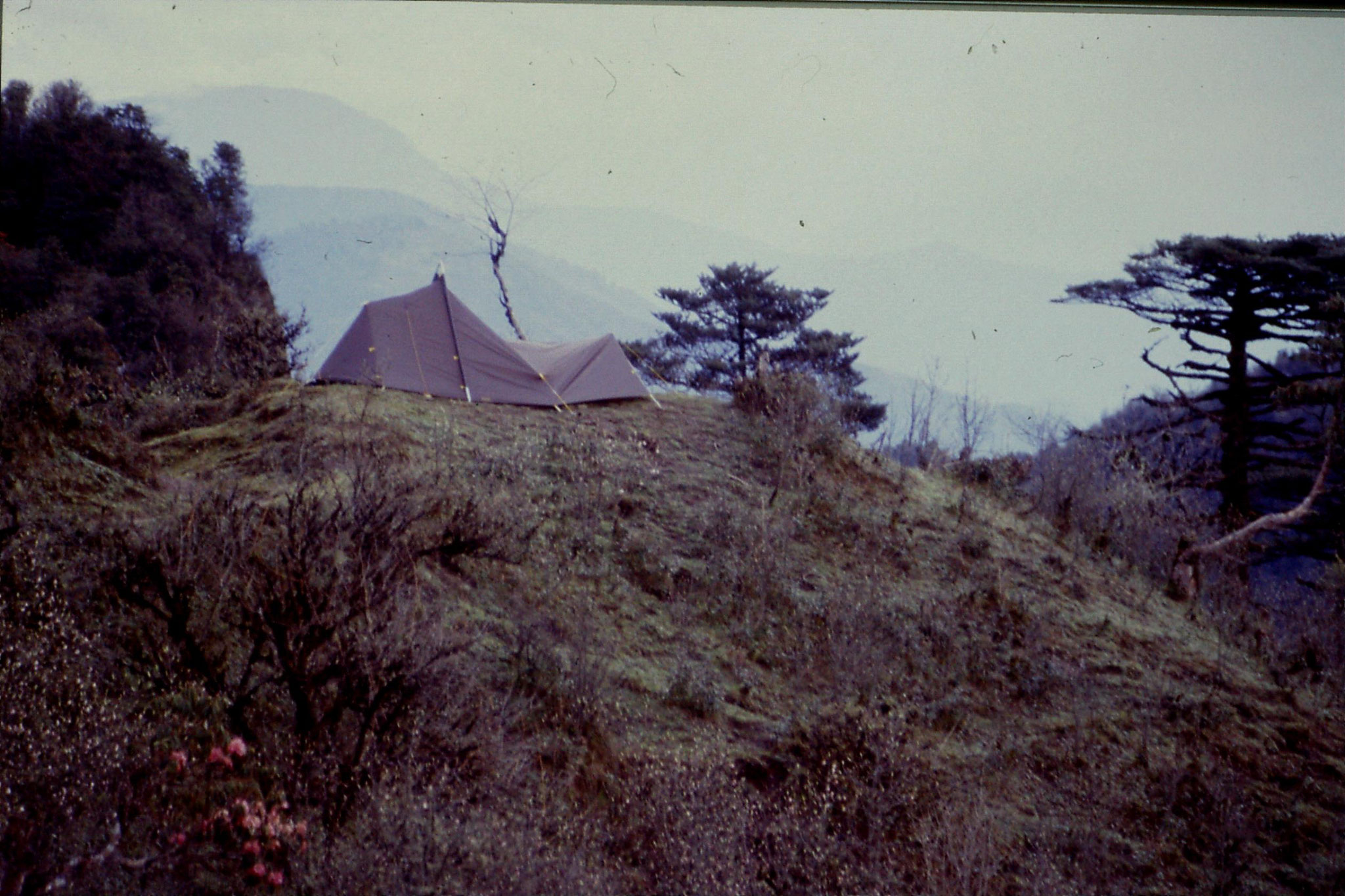 5/5/1990: 7: Bikkebhanging: our tent