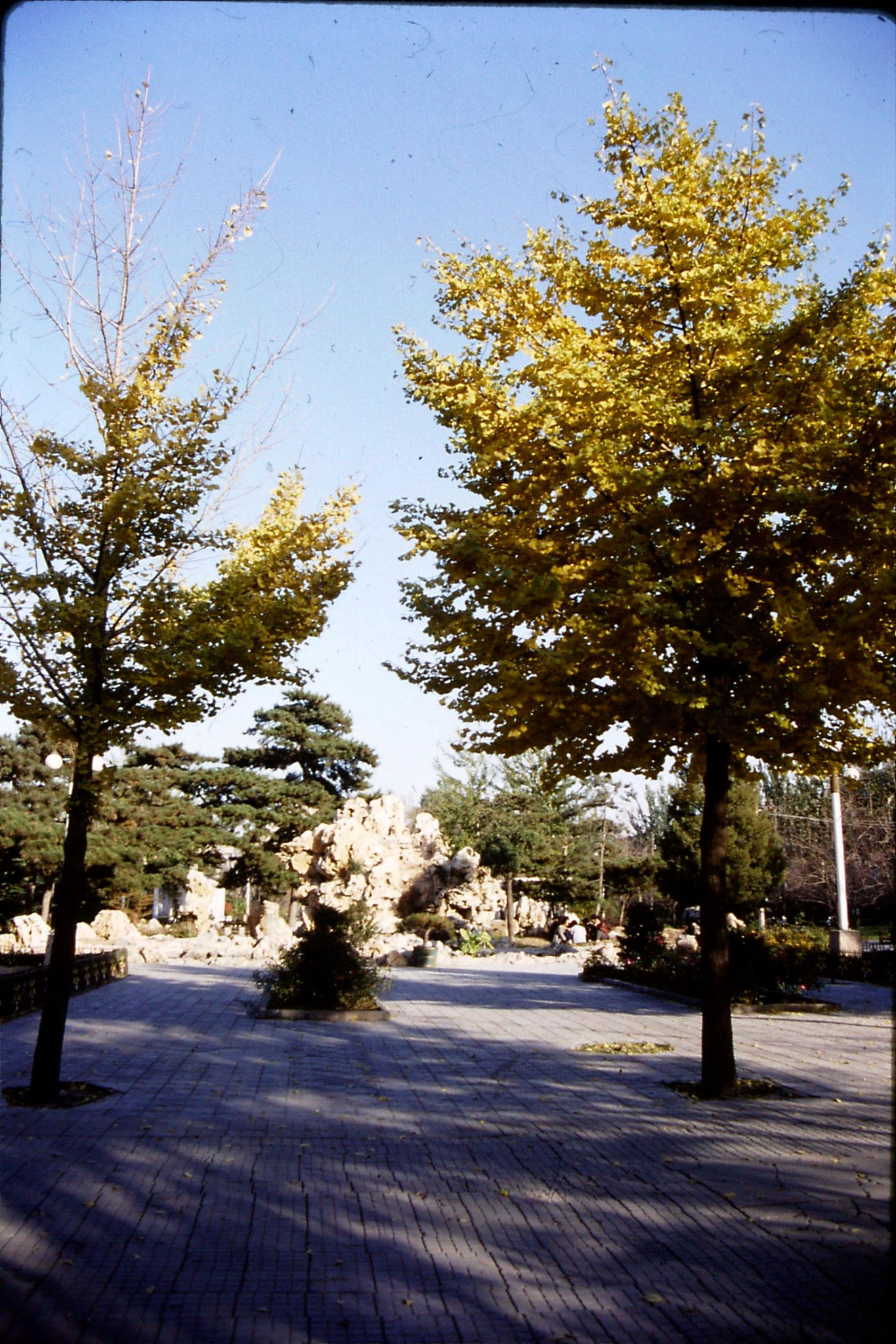 5/11/1988: 24: Beijing Inst. Technology 