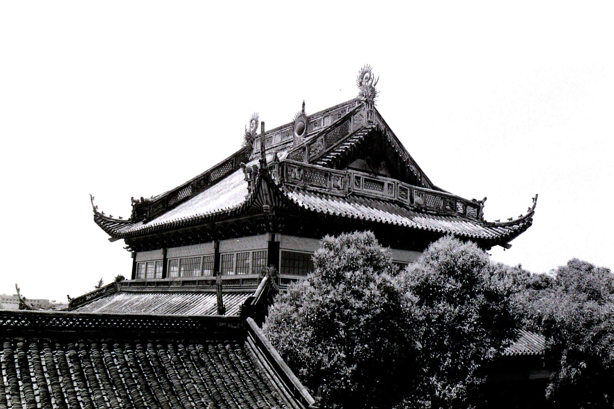 3/6/1989: 20: Shaoxing Daya Lin temple