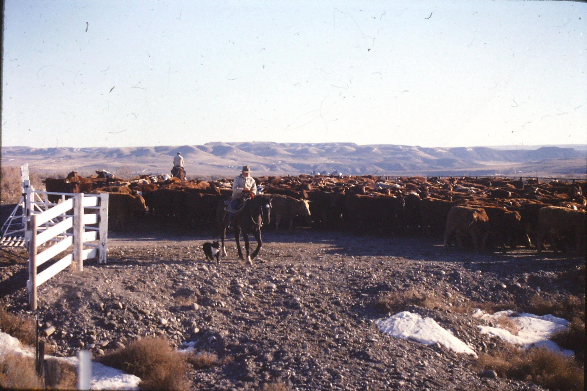 24/1/1991: 36: Bruneau Sand Dunes: cowboys