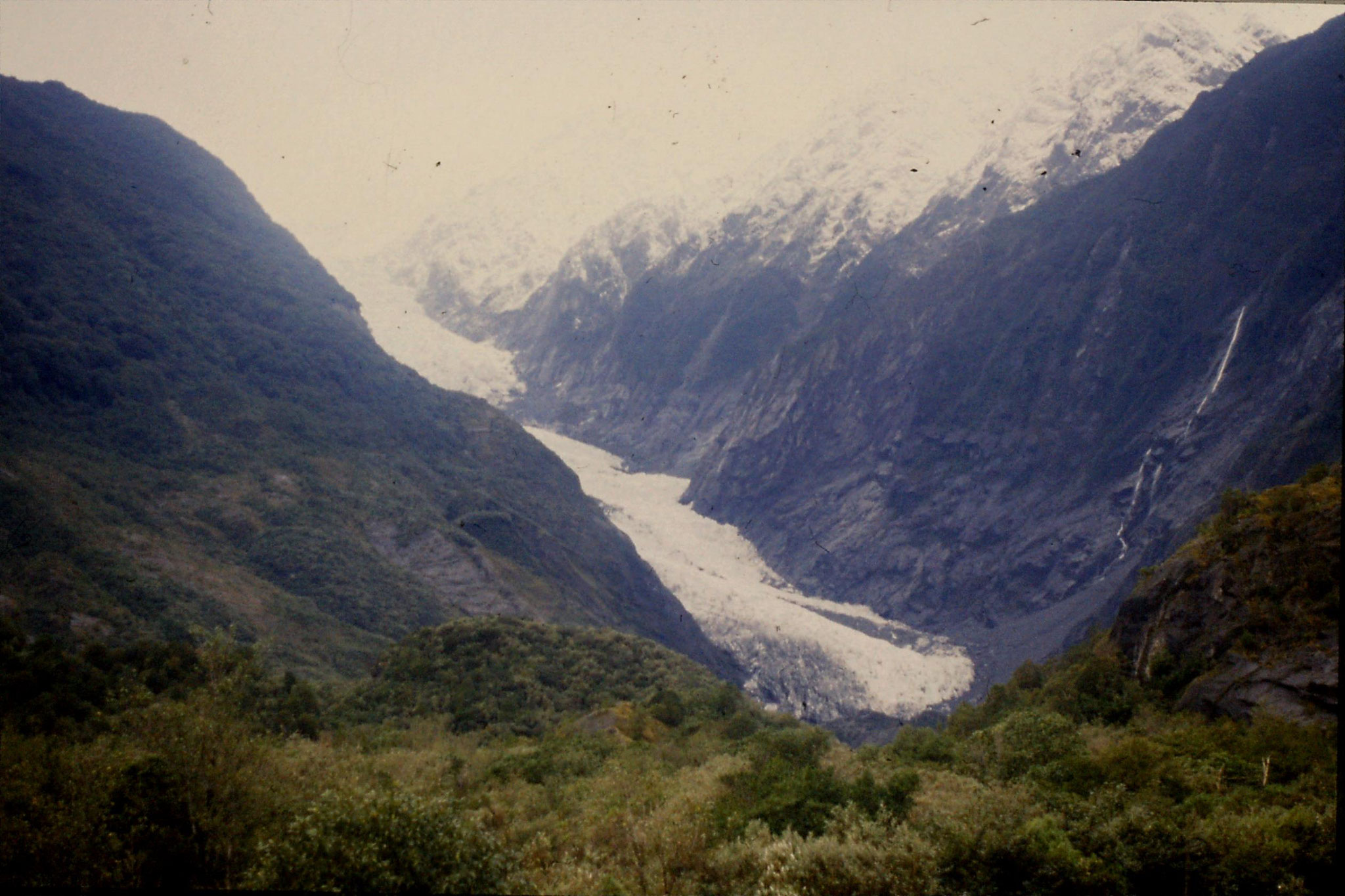 22/8/1990: 31: Franz Joseph Glacier