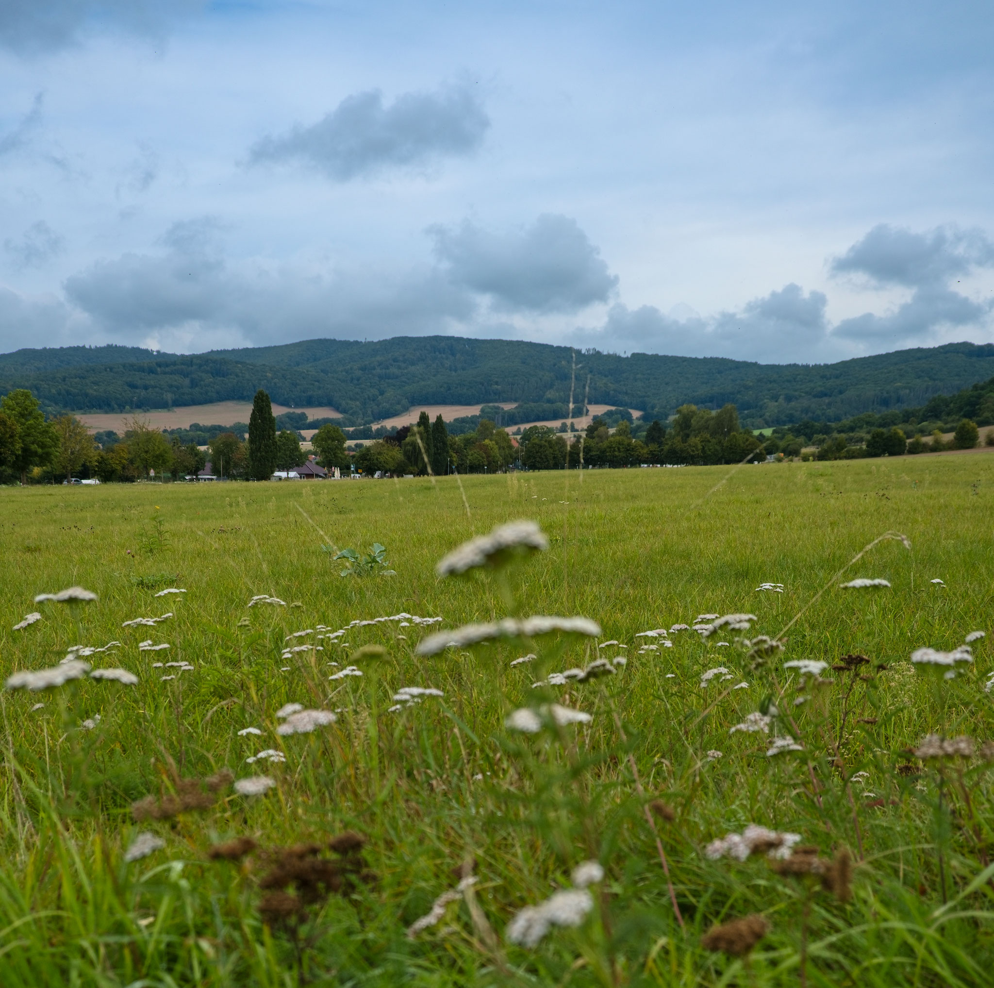 Blick von Hessen nach Thüringen