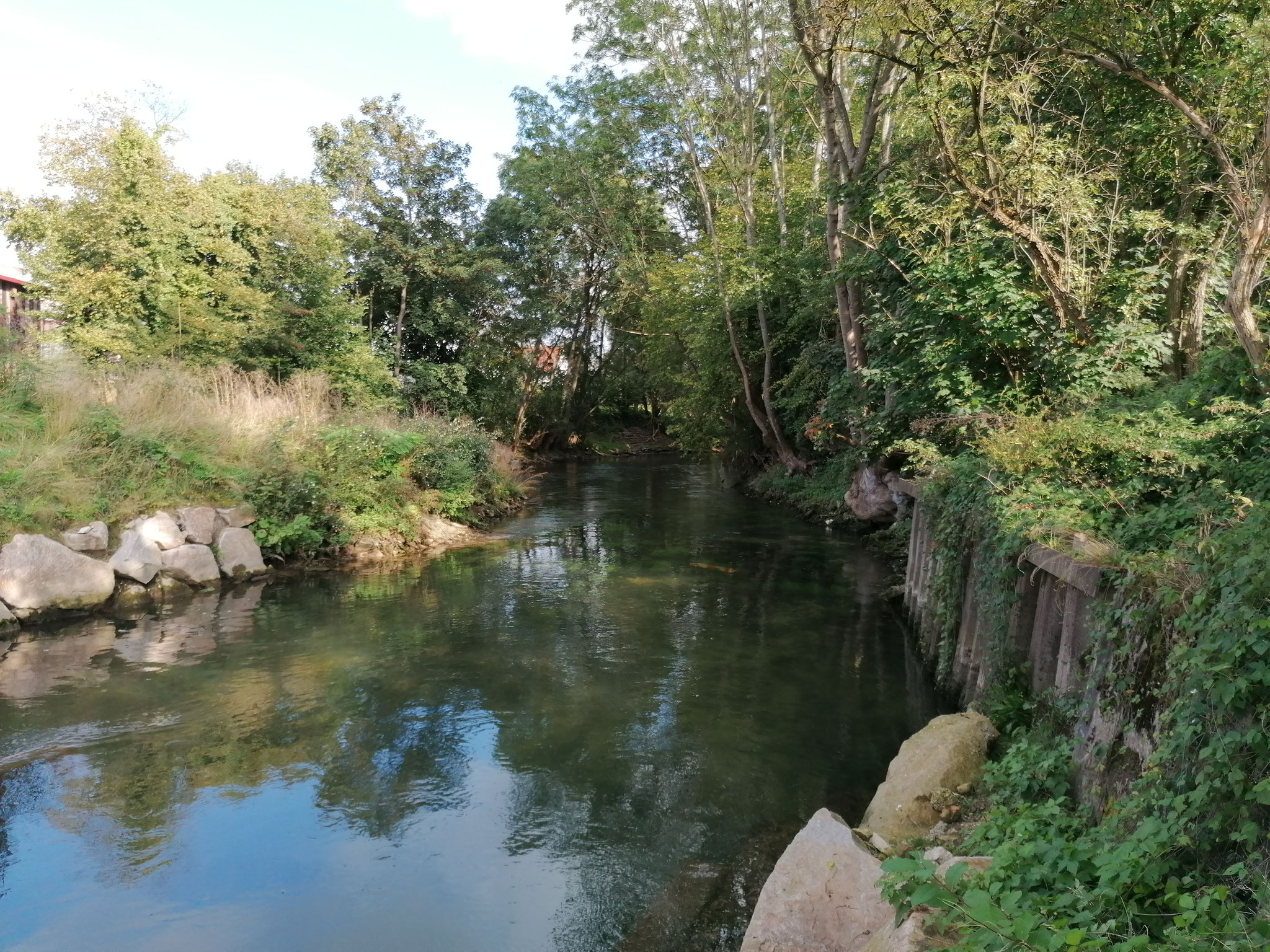 Brenz in Hermaringen