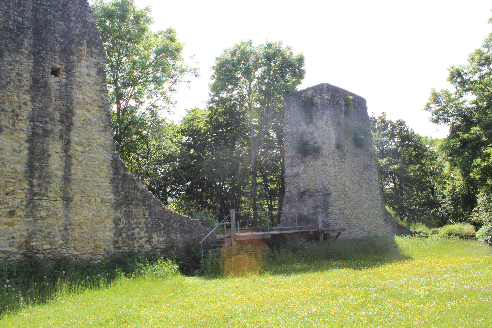 Hermaringen, Ruine Güssenburg