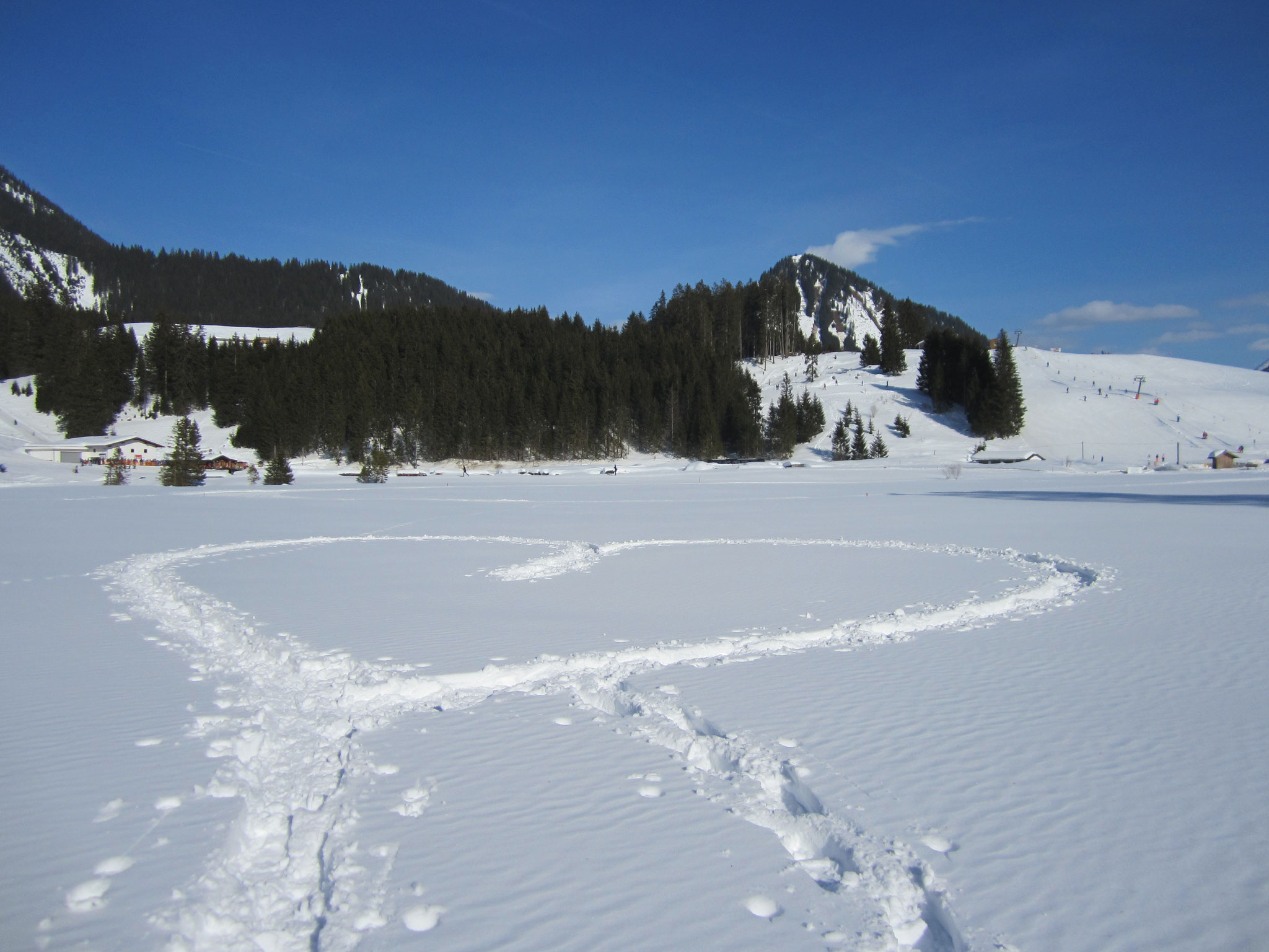 Wiese Rinnen nach Berwang mit Aussicht auf dem Mooslift