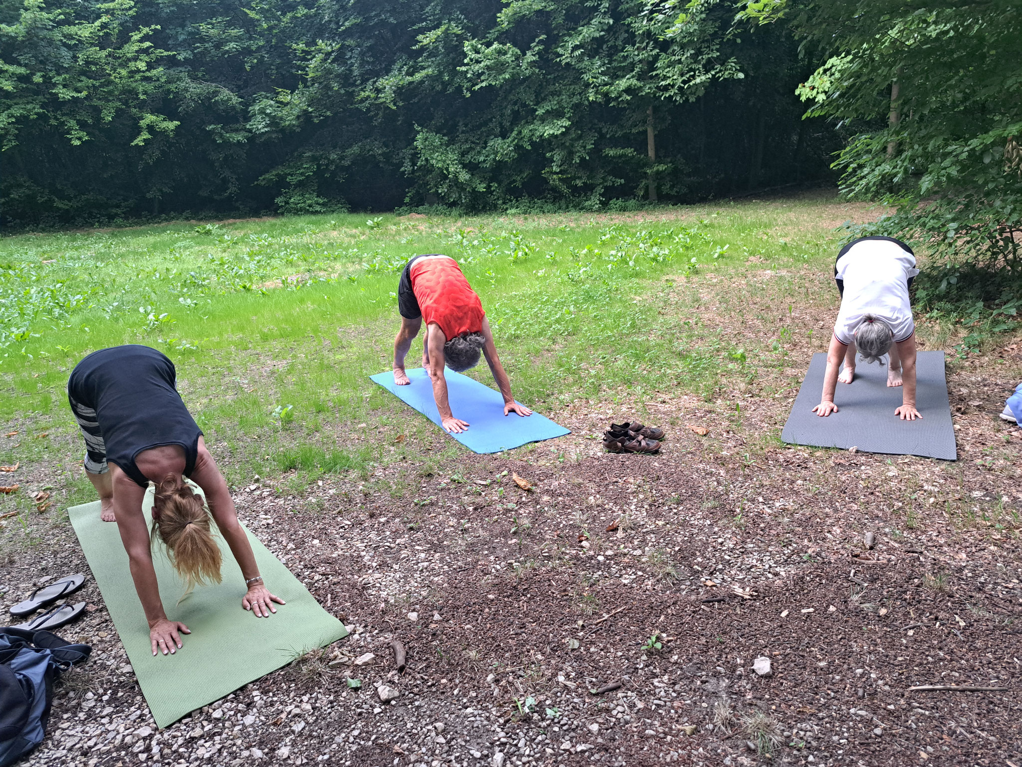 Yoga im Wald - Juni 2022