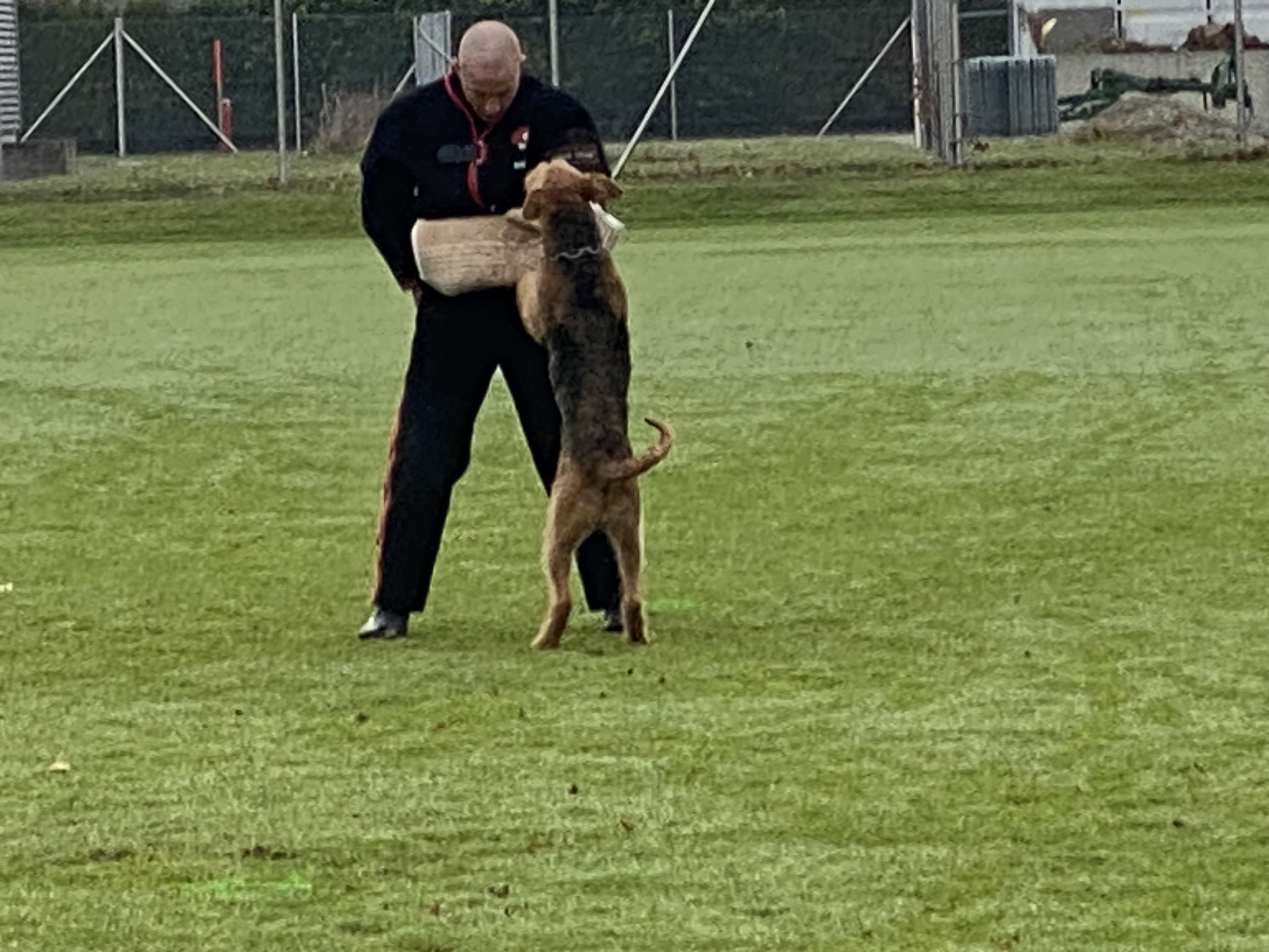 Ursi Eberli, SKG SM 2025, FCI IGP 3