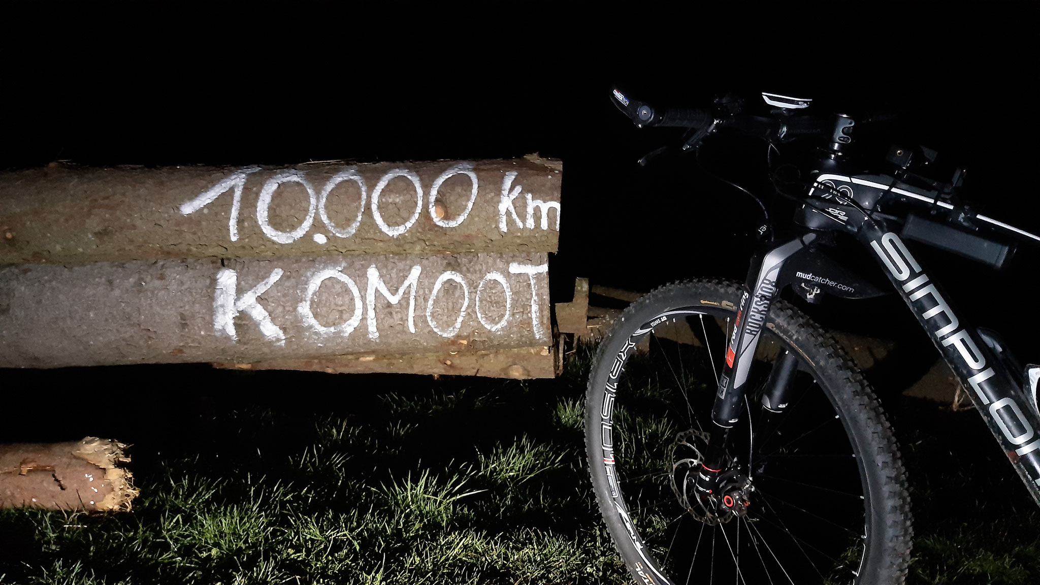 Biker Begegnet Bar Bei Abfahrt Im Wald Der Spiegel