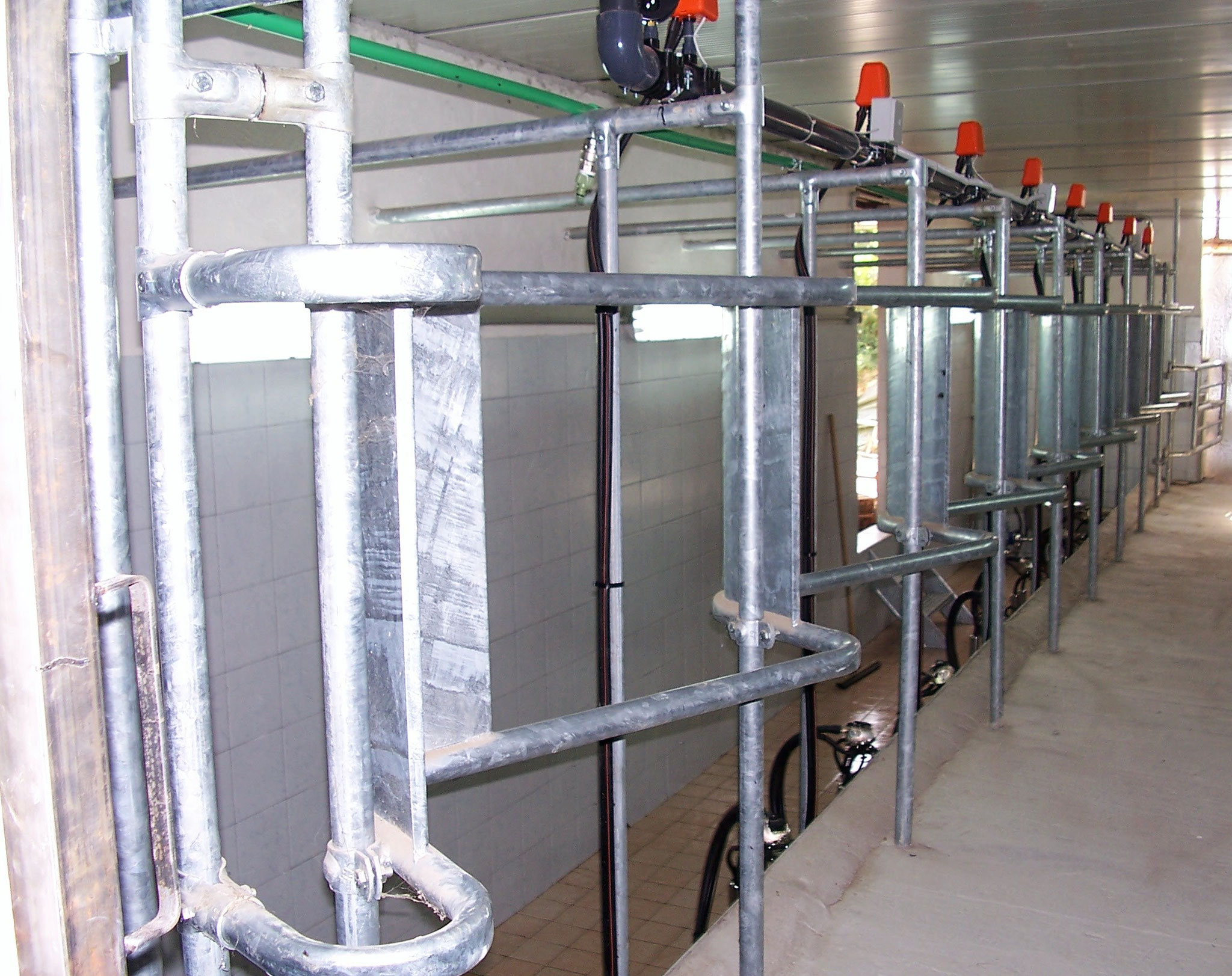 Poste a schiena di pesce in linea