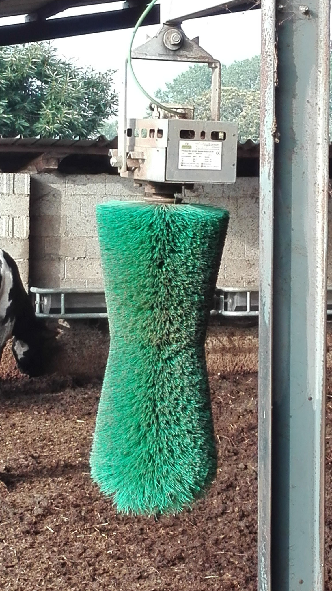 Spazzola pulitrice per bovini