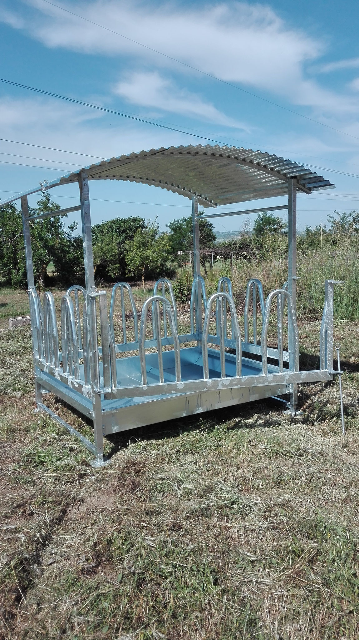 Portaballone per bovini, bufalini e cavalli con piedi regolabili, da 12 poste zincato a caldo