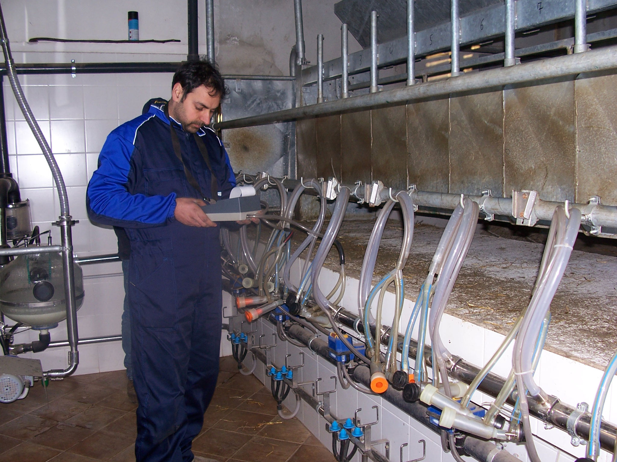 Controllo qualità di mungitura