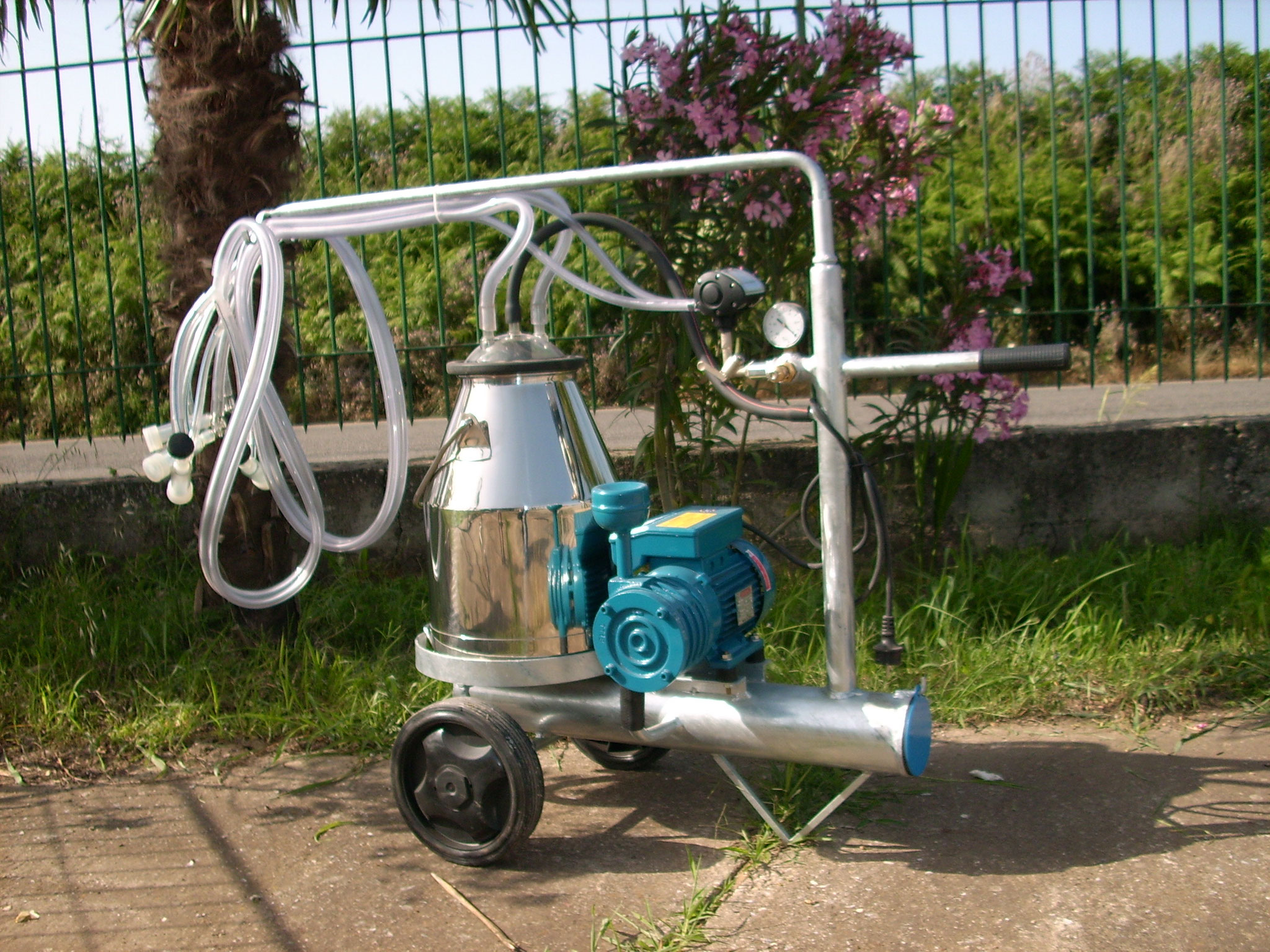 Mungitrice a carrello zincato, pompa per vuoto mod. PT1 da 200 litri a 50 kpa, motore elettrico 220V HP1. Secchio 25 litri in acciaio inox, 2 gruppi mung. collettori automatici 1 pulsatore 50/50, completa.