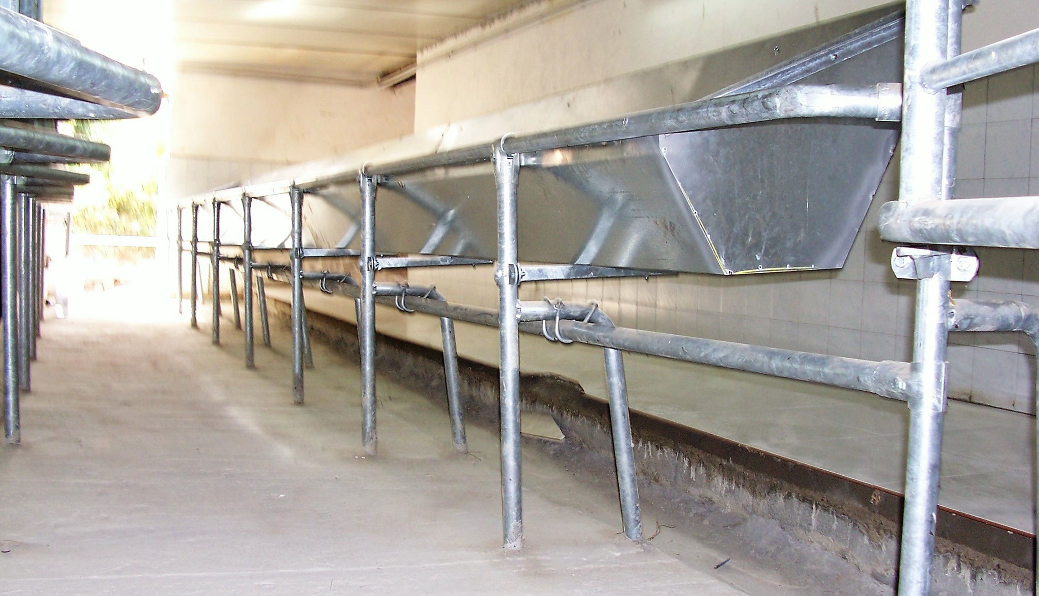 Vasca porta mangime per poste a schiena di pesce in linea