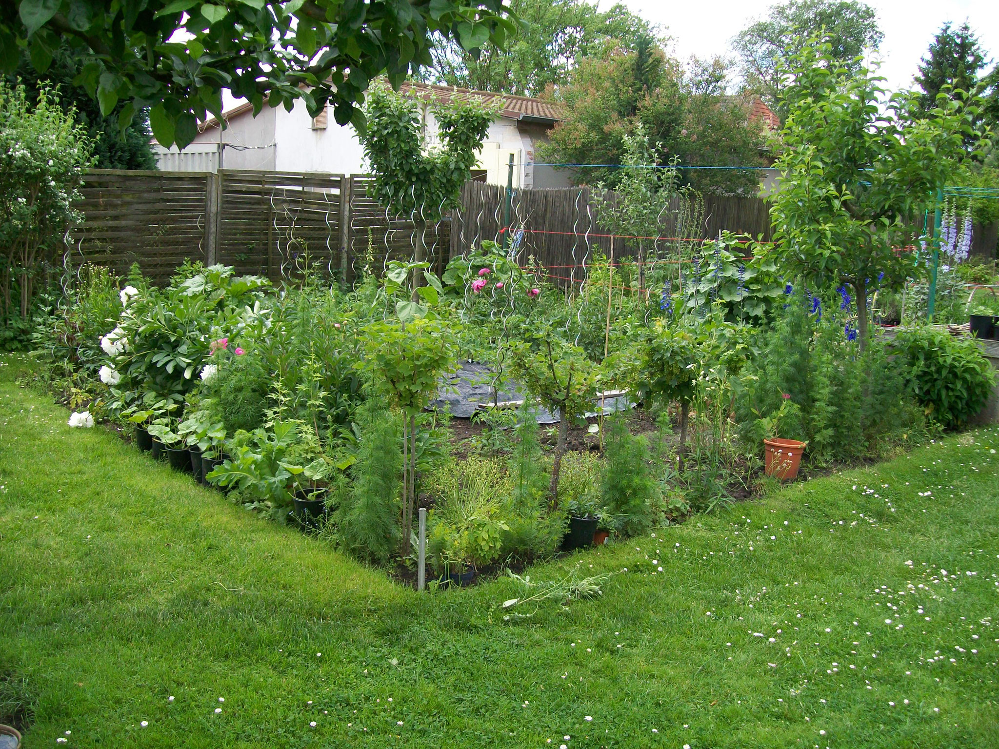 Gemüsegarten ausmeinemgarten
