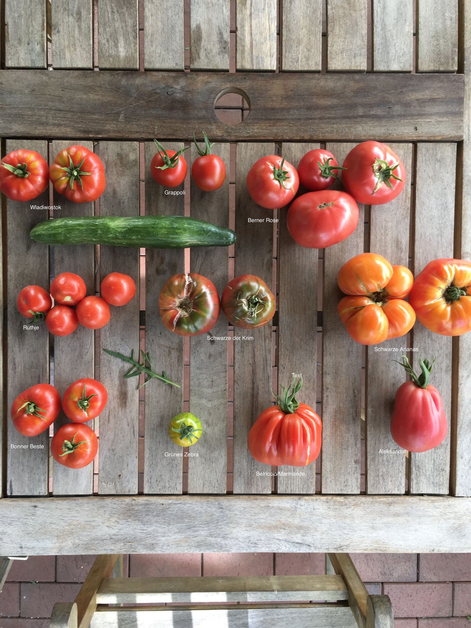 Tomaten Aus Meinem Garten