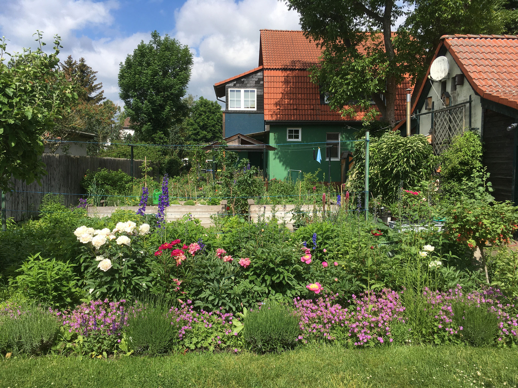 Gemüsebeet und Staudenbeet