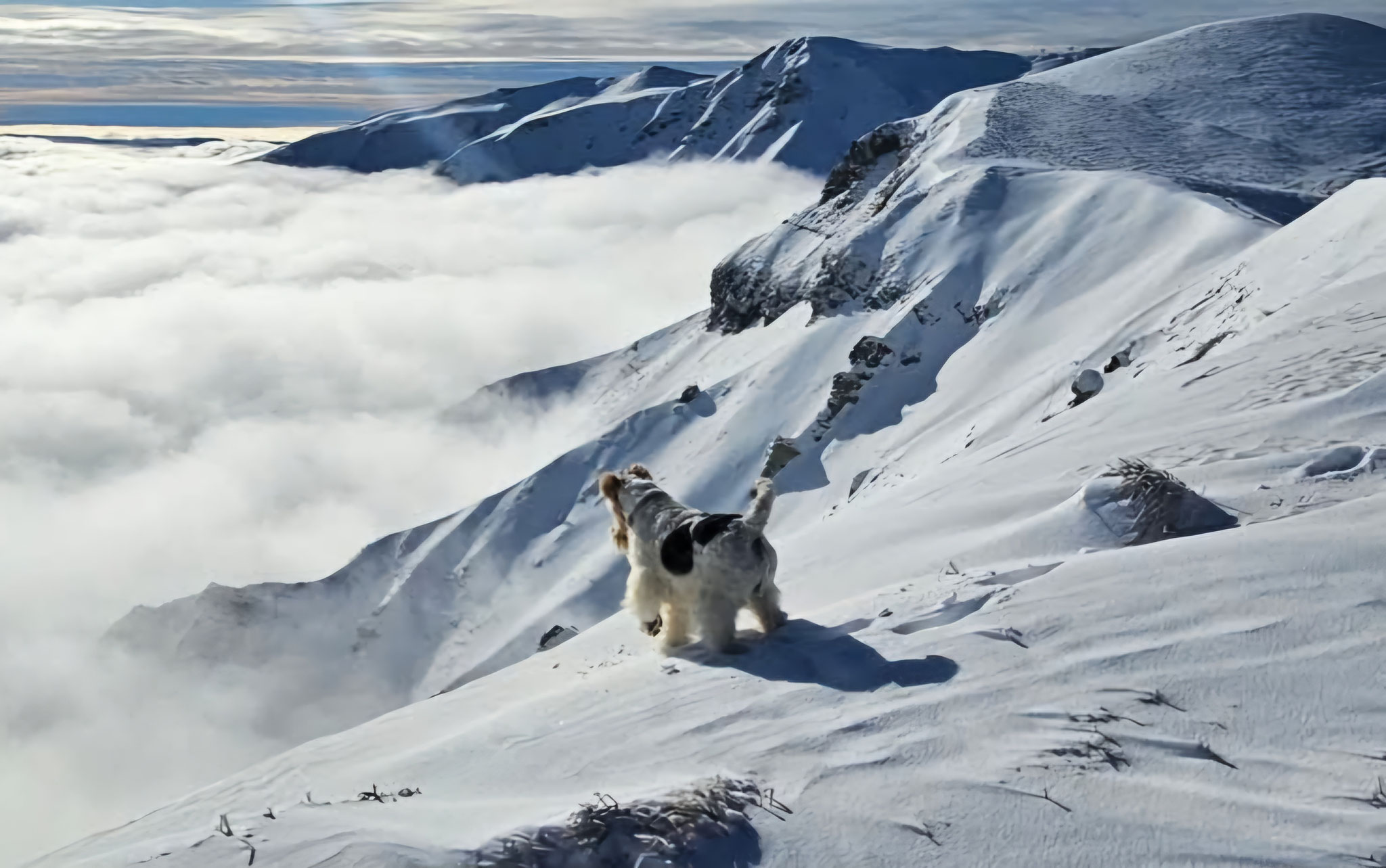 Neige aux sommets