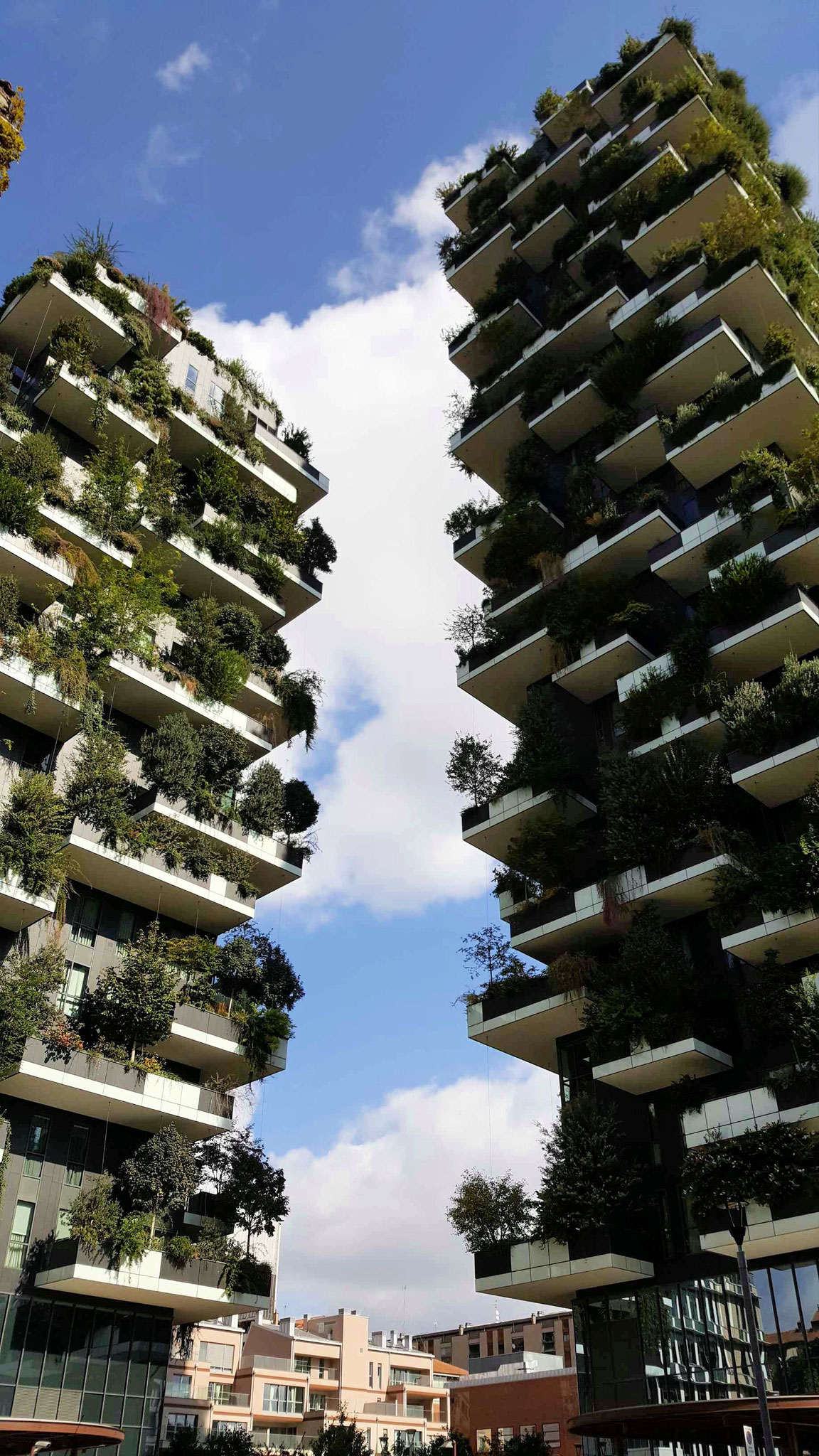 Vorblid Mailand: Bosco Vertikale