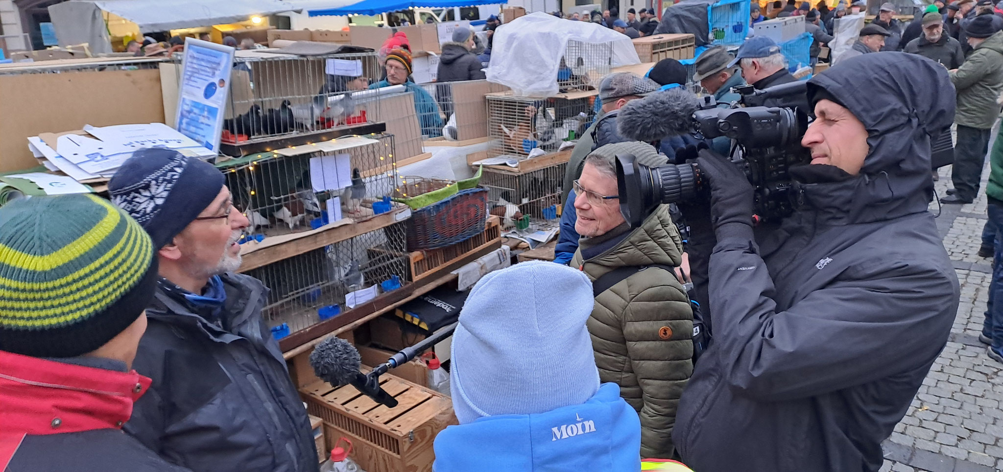 Medieninteresse, hier am Stand des Flugtaubenvereins Mitteldeutschland