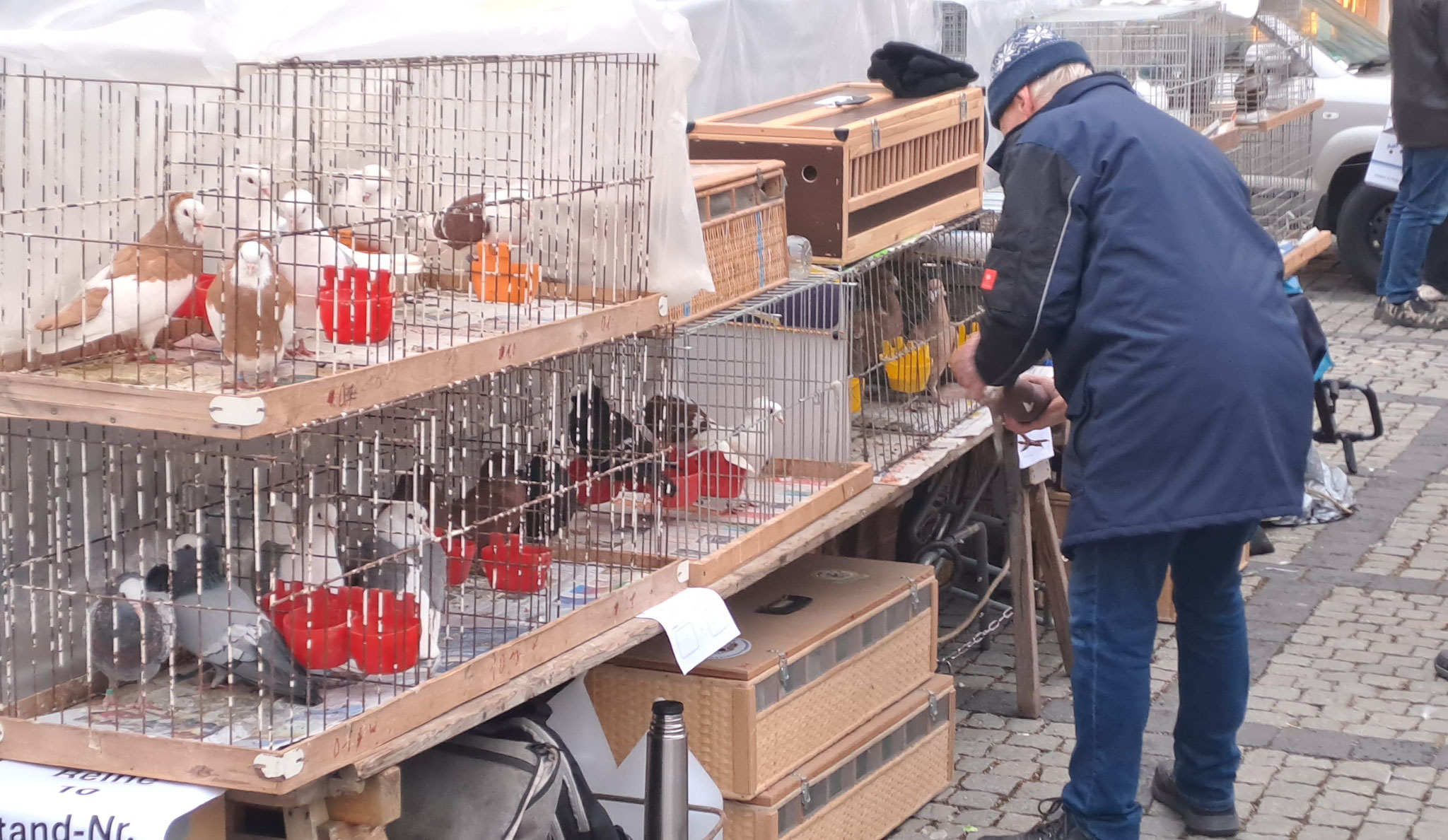 Letzter Taubenmarkt dieser Art und Größe unter freiem Himmel in Deutschland