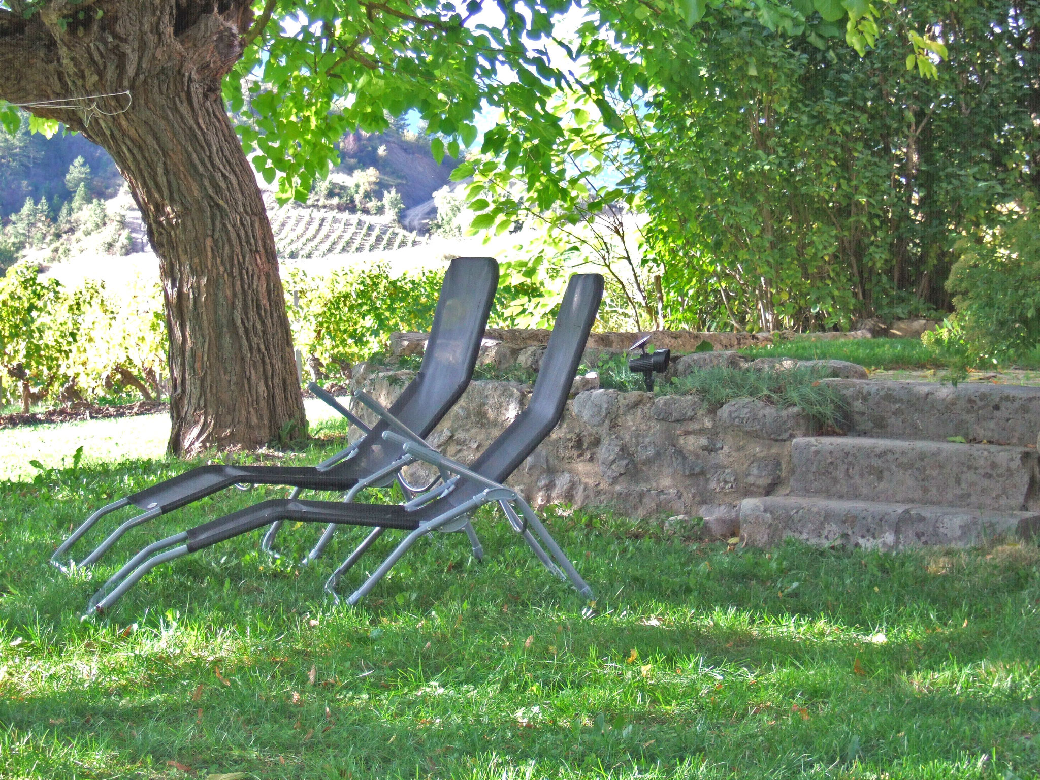 relax in the garden