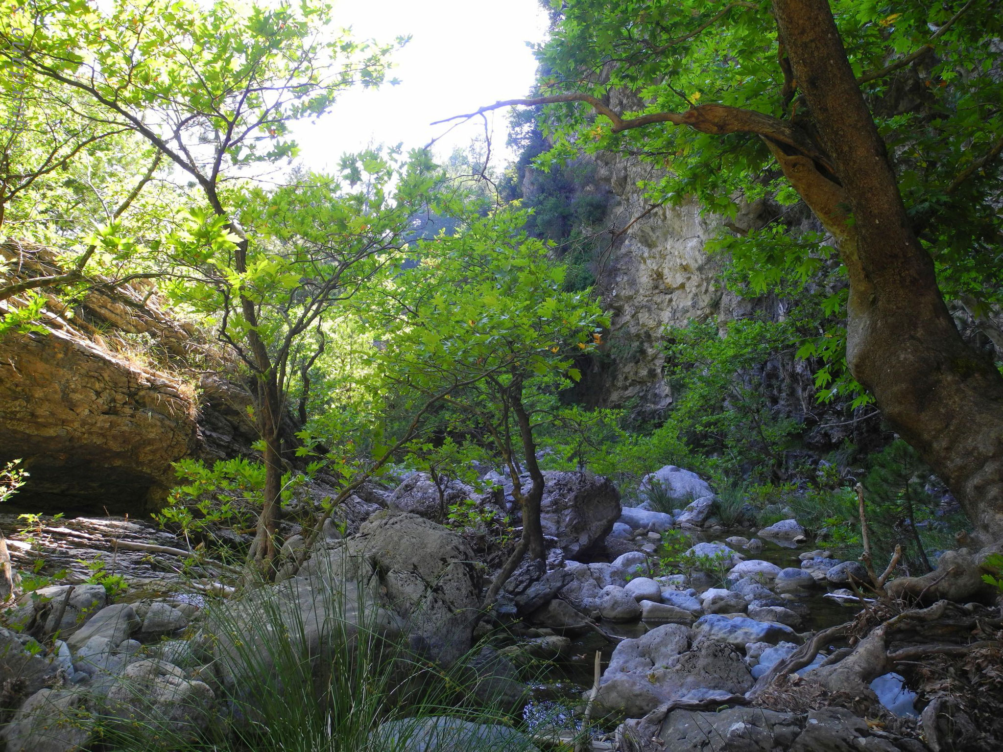 Drymonas, Euböa-GR, Wasserfälle