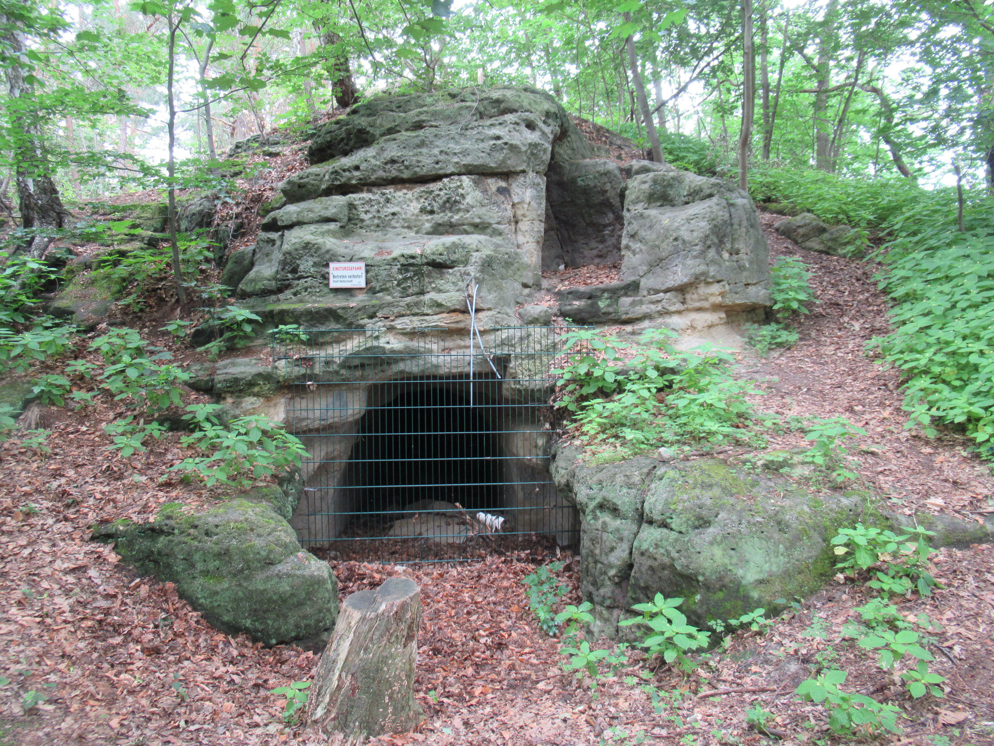 Die Pfennighöhle bei Halberstadt  -Ostseite mit der Wächterhöhle darüber