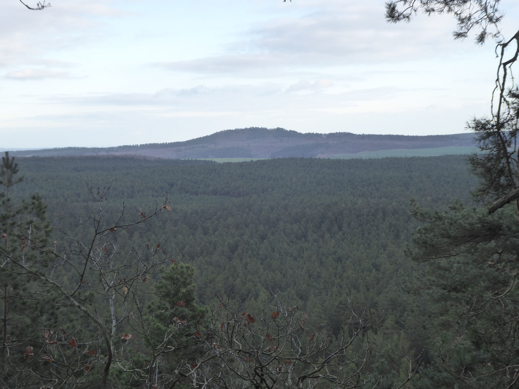 Am Horizont ist der Hoppelberg zu sehen.