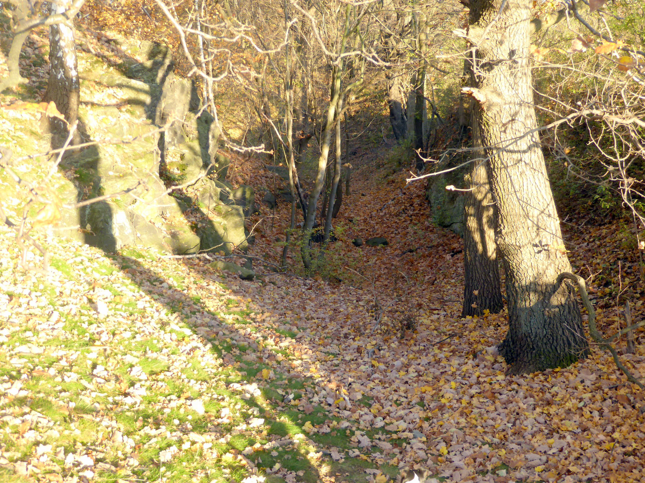 Schlucht im Felsen, alter Steinbruch.