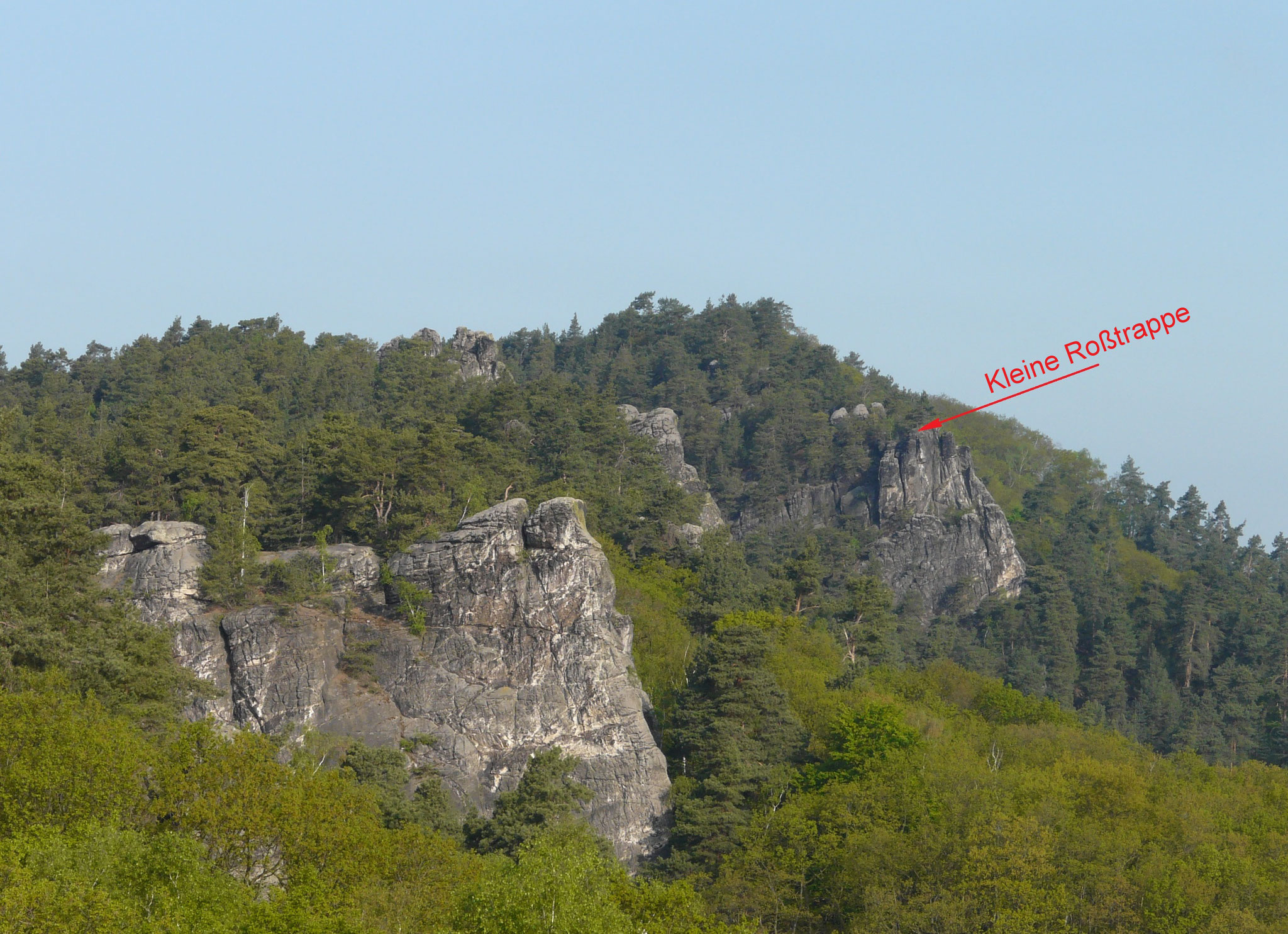 Ein Foto von Weitem zur kleinen Roßtrappe.