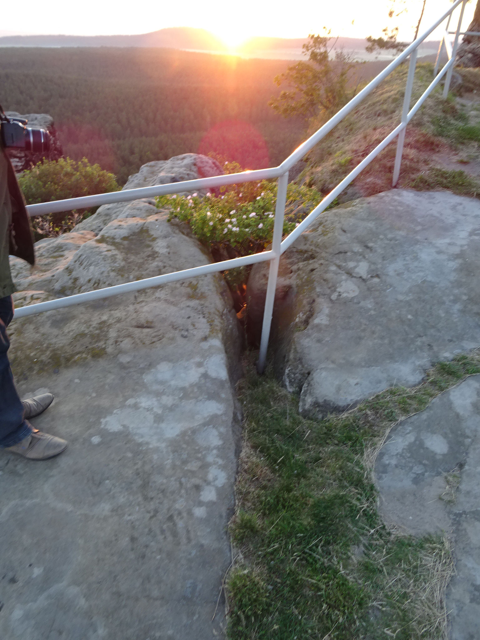 Unter der Heckenrose erkennt man das Licht