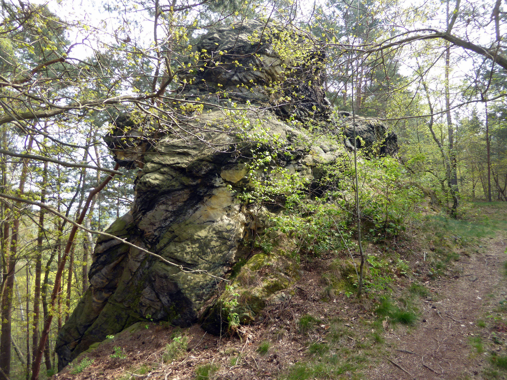 Die Vogelklippe